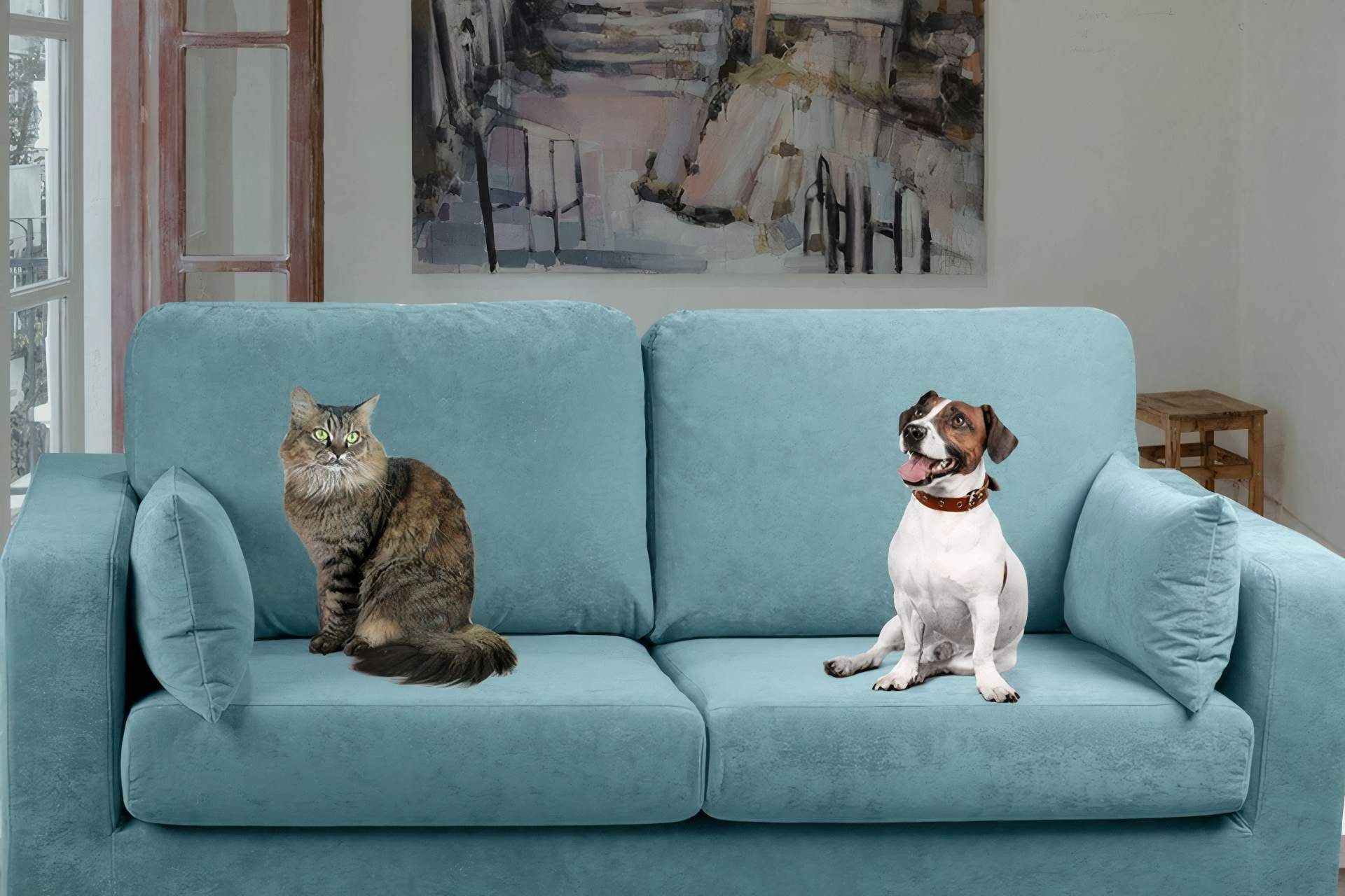 Compartir el sofá con las mascotas, las principales ventajas y desventajas de la mano de Sofás Animal Friendly
