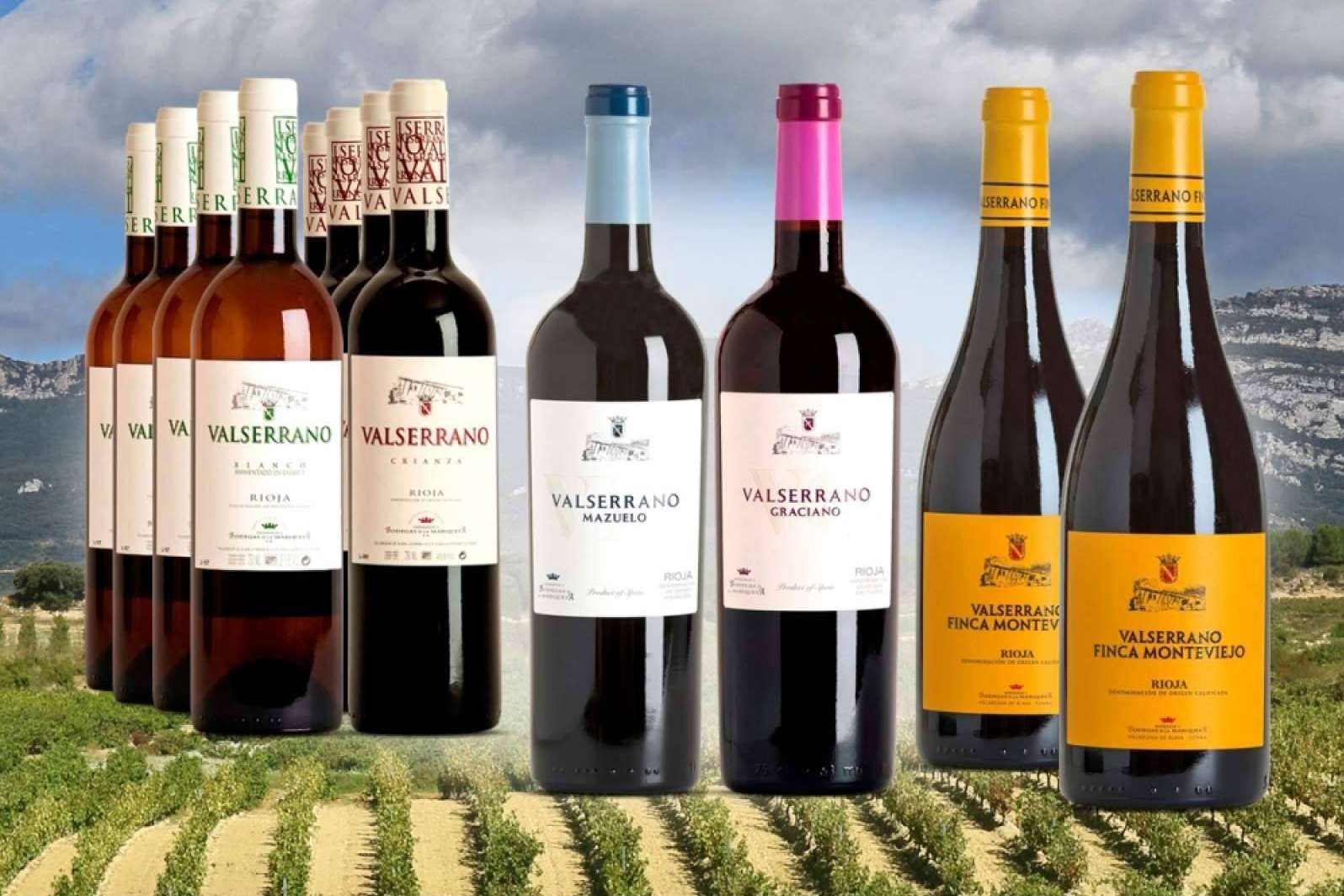 ILOVEWINE ofrece vinos selección Valserrano para los paladares más exigentes