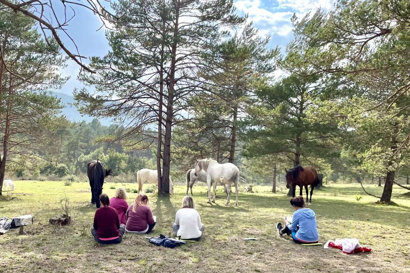 Aura, una escuela de formación especializada en acompañamiento asistido con caballos en libertad
