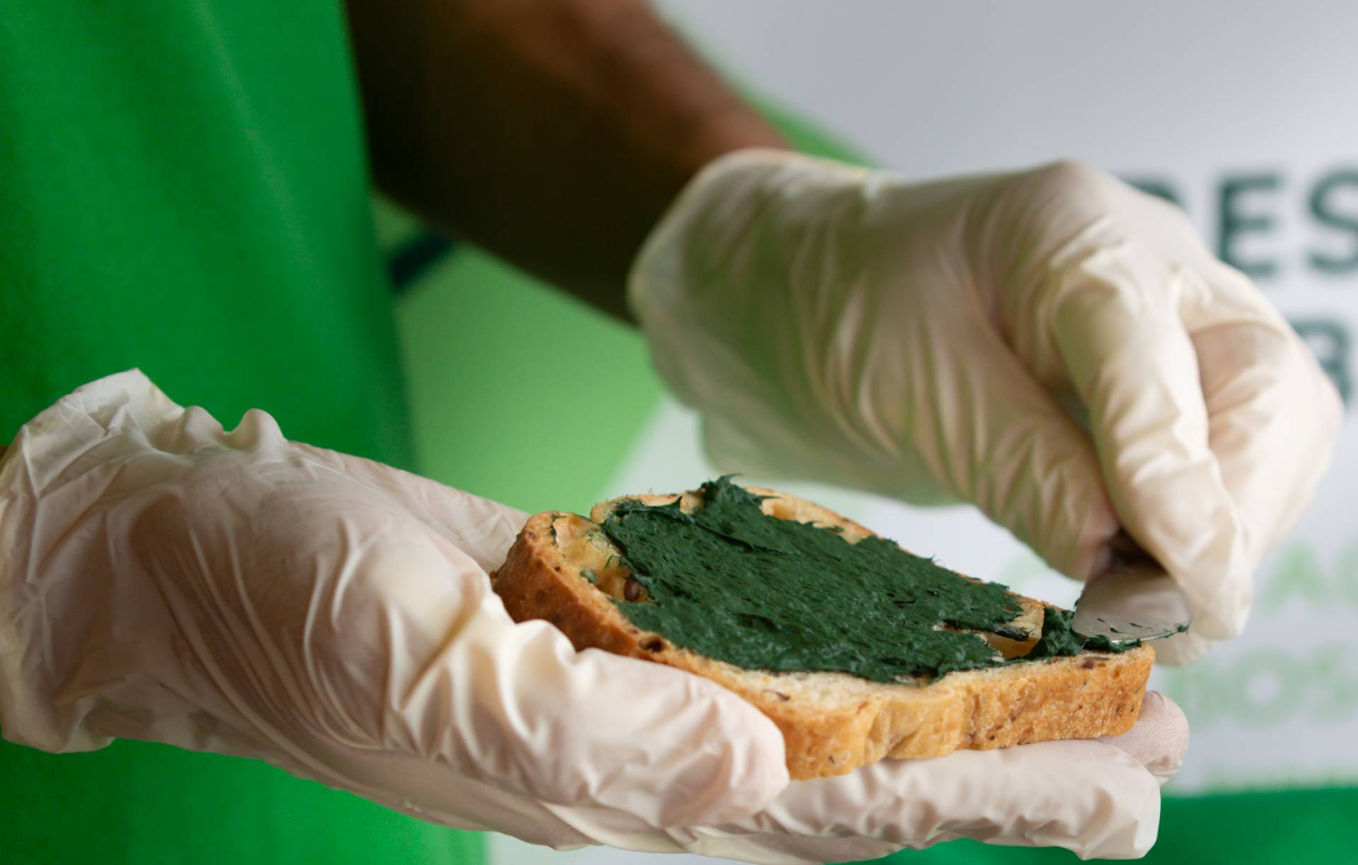 Comprar alga espirulina artesanal de alta calidad en Organa Espirulina