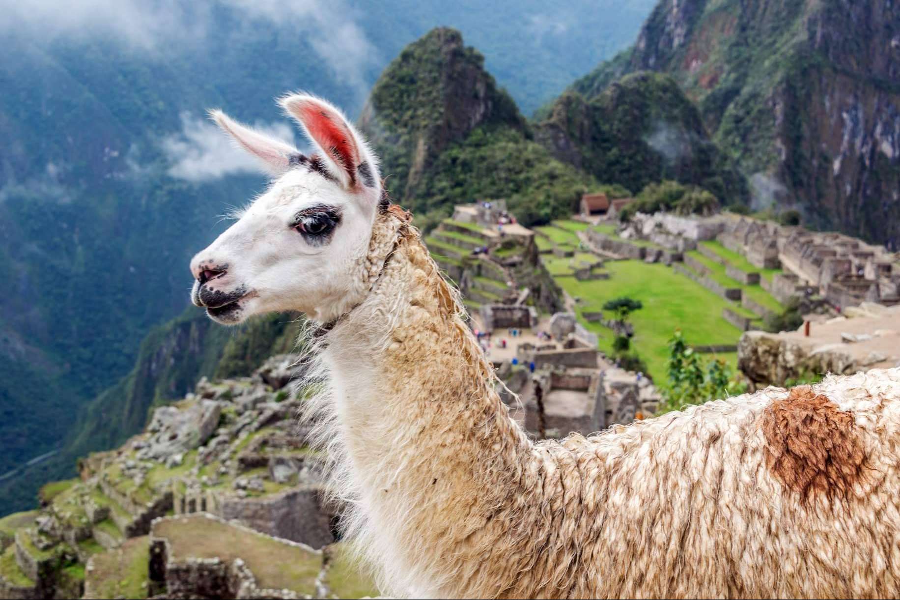 Las novedades de RevistaTourGourmet.com, la revista digital de Perú