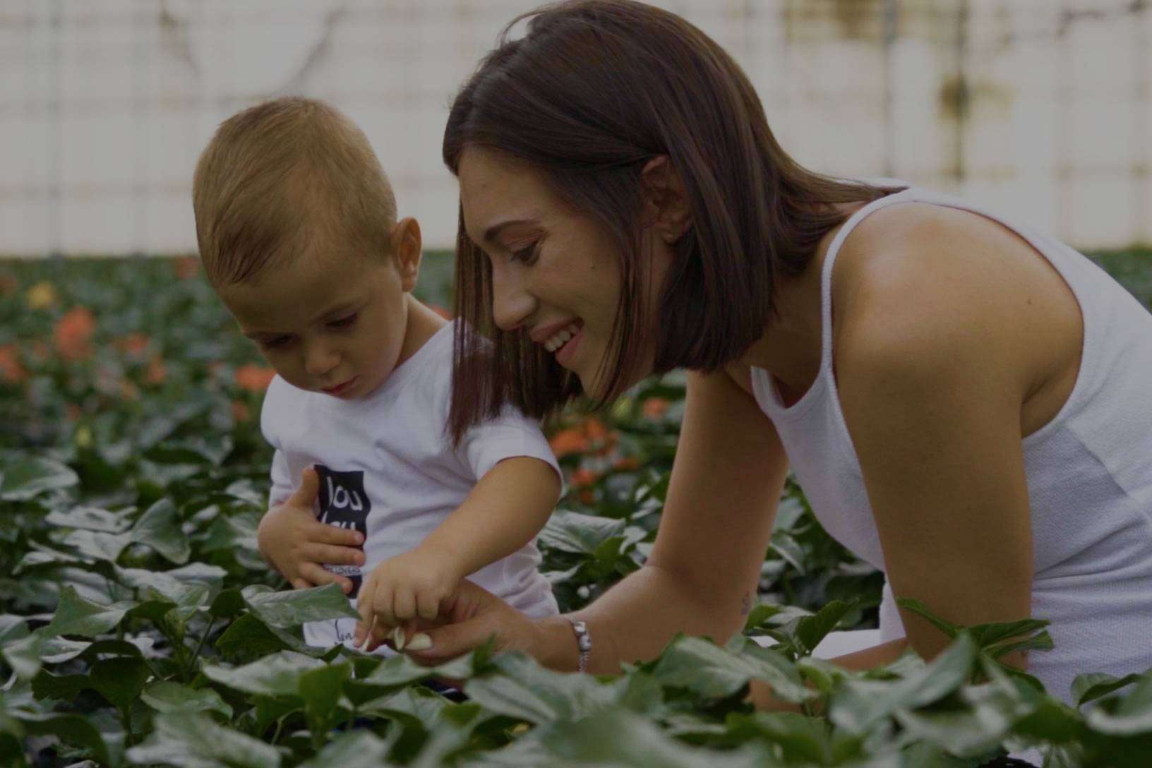 El espacio donde encontrar un amplio catálogo de plantas ornamentales, Rachel & Co