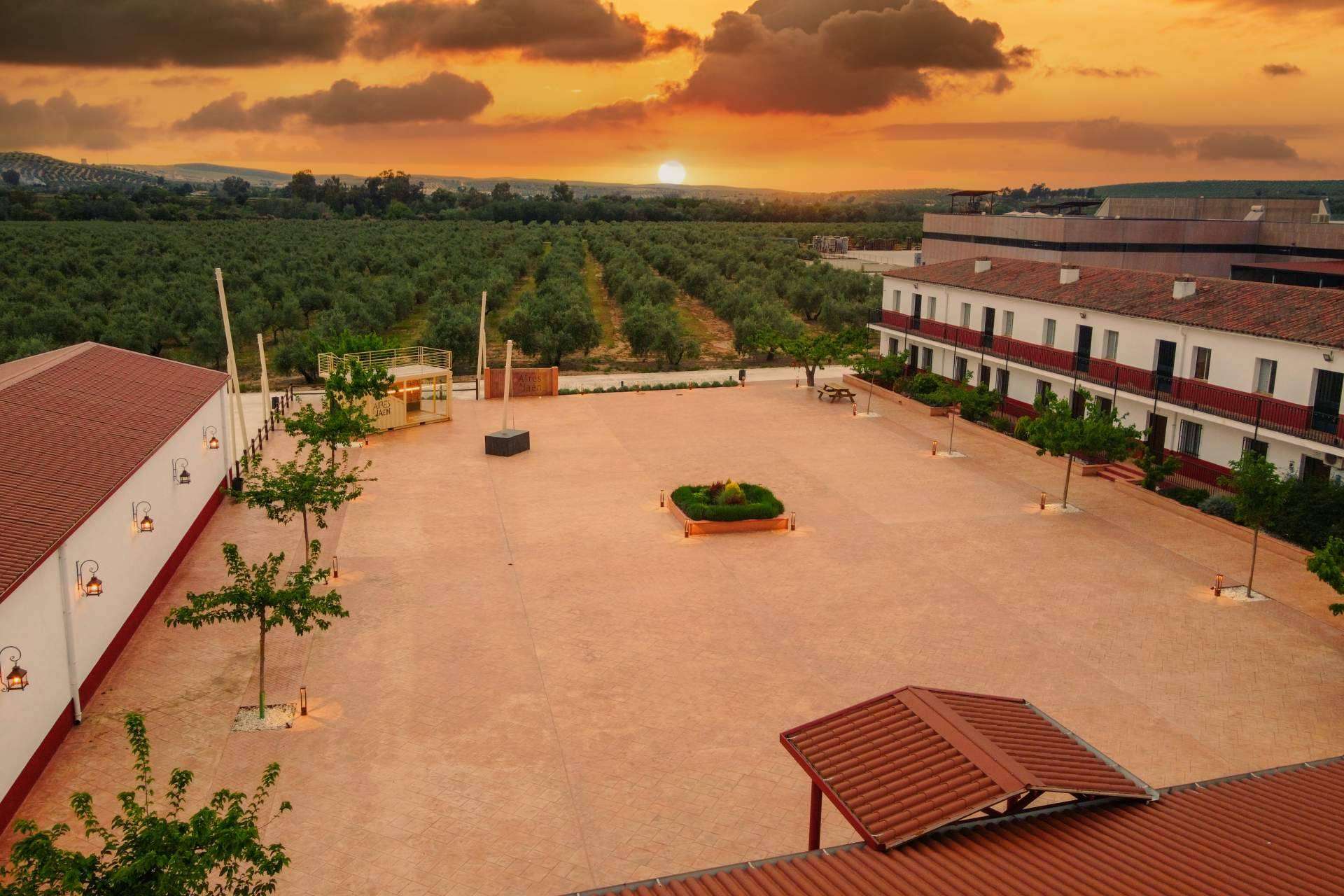 Entradas del II tardeo entre olivos a la venta con Aires de Jaén