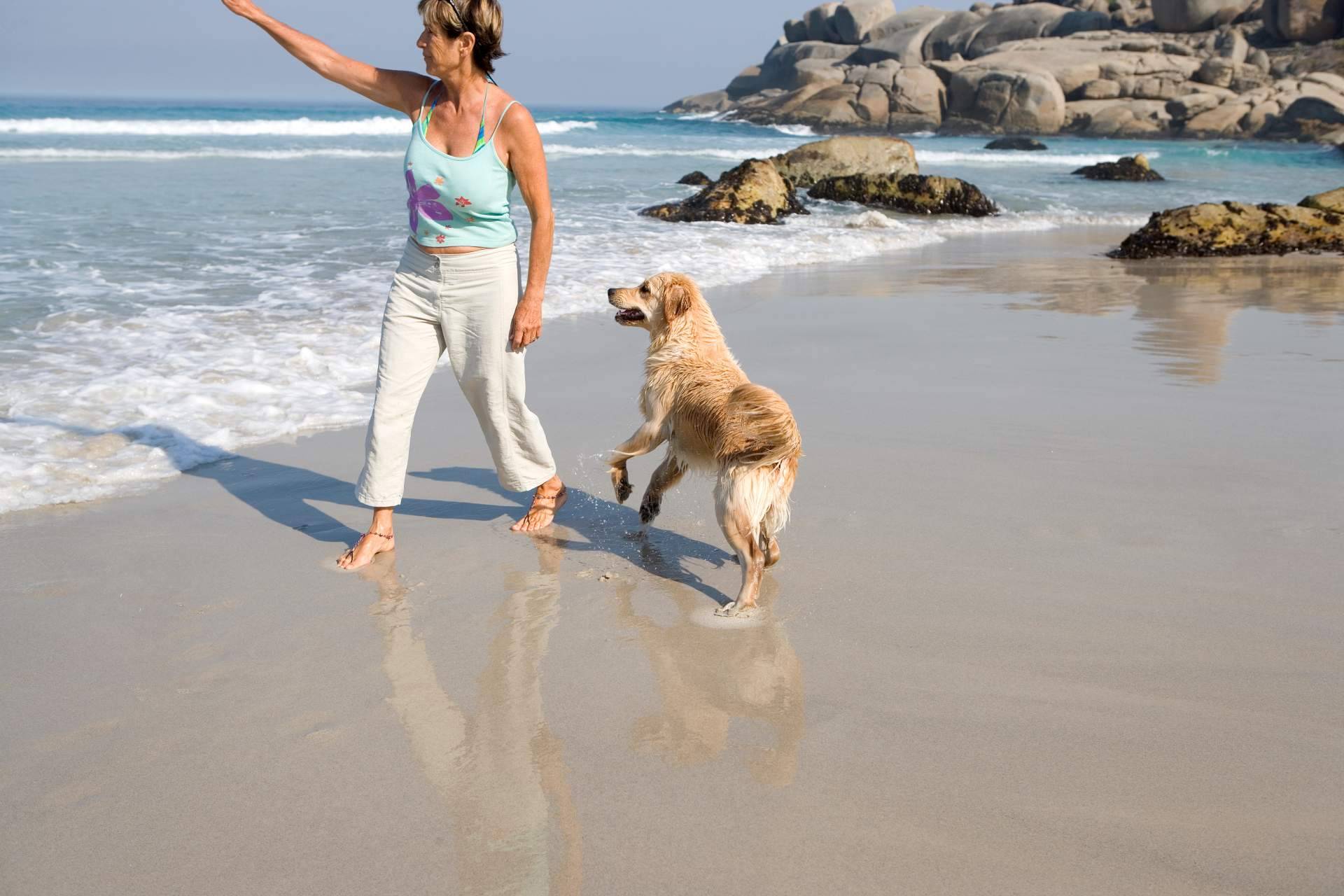 Adoptar perros en verano, una forma para evitar que las protectoras colapsen