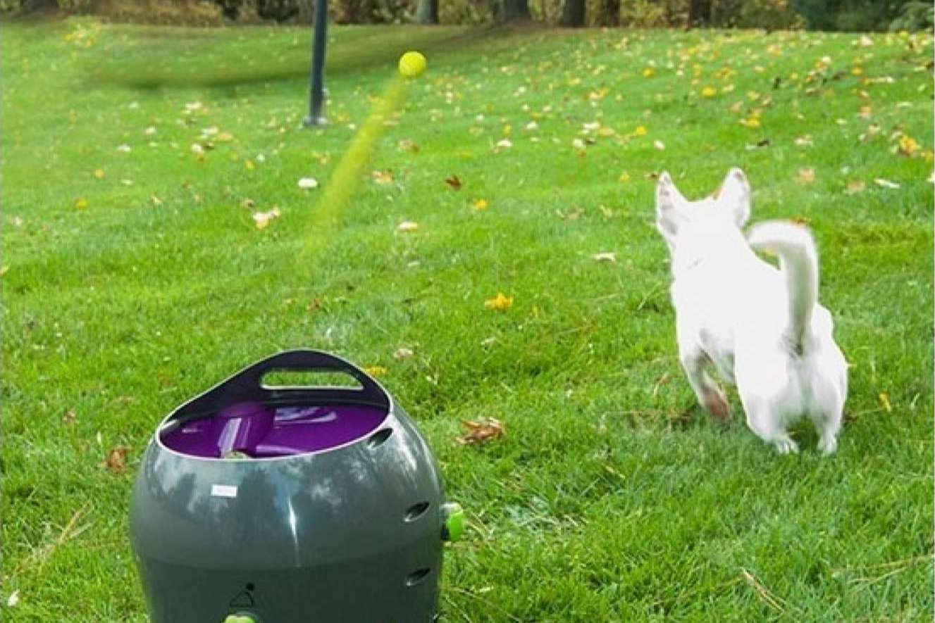 Lucas & Lola ofrece juguetes para perros