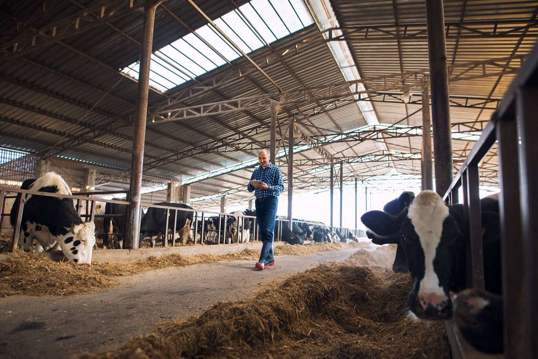 El ERP Agropecuario de Certitec potencia el sector agrícola