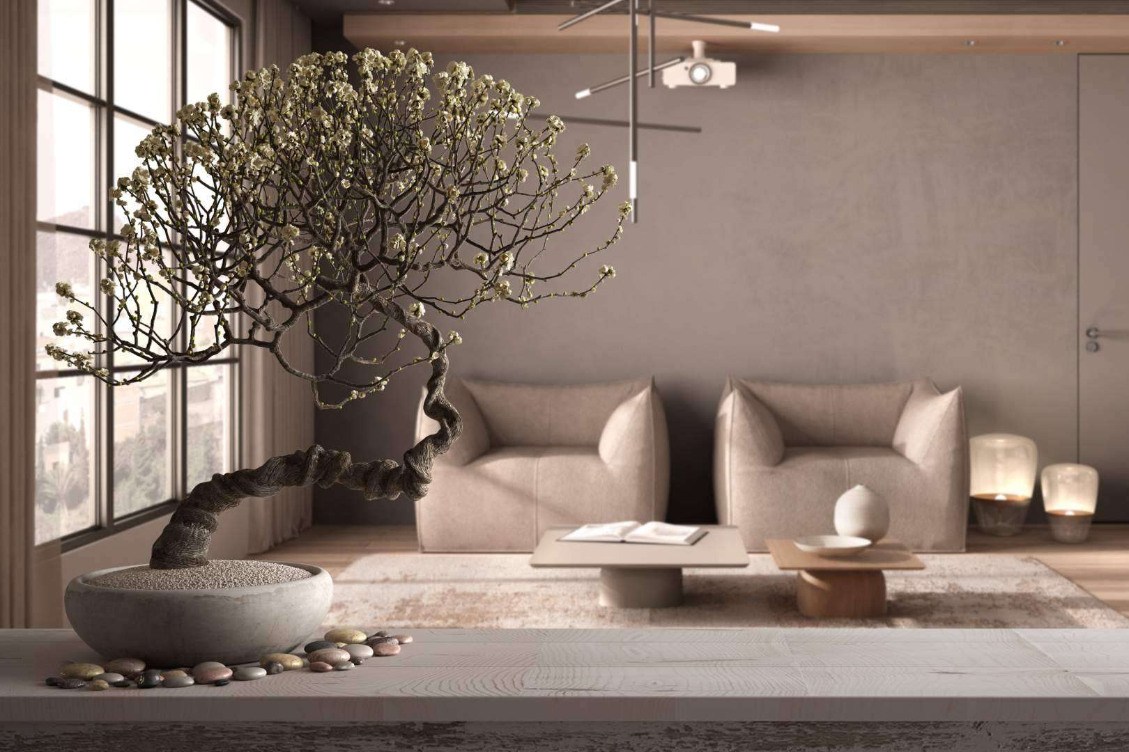 La importancia del Feng Shui en las casas para mantener la armonía y el equilibrio mental