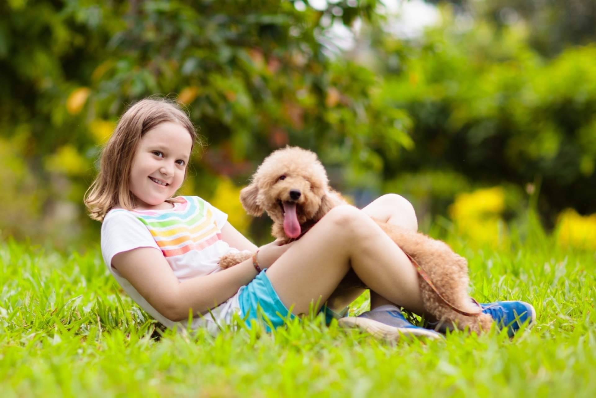 Diferencias entre comprar y adoptar perros, de la mano de Cachorros del Valle