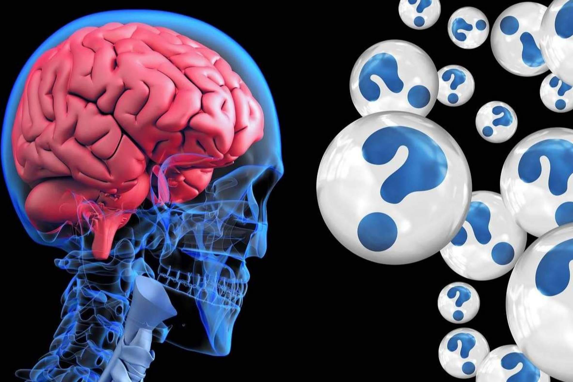 INIMA Rehabilitación celebra el día mundial del Alzheimer ayudando a sus pacientes y familias