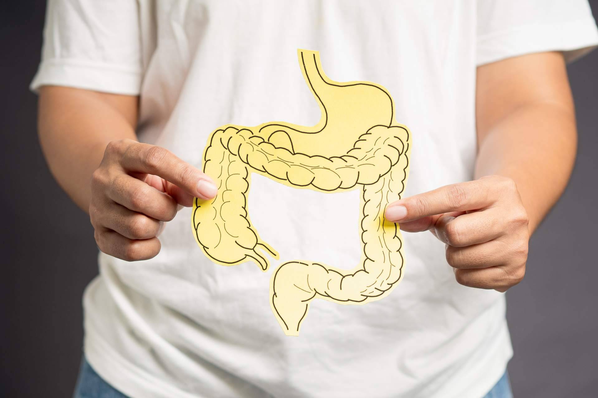 Los servicios de la Clínica Umebir para la rehabilitación intestinal para pacientes con disbiosis