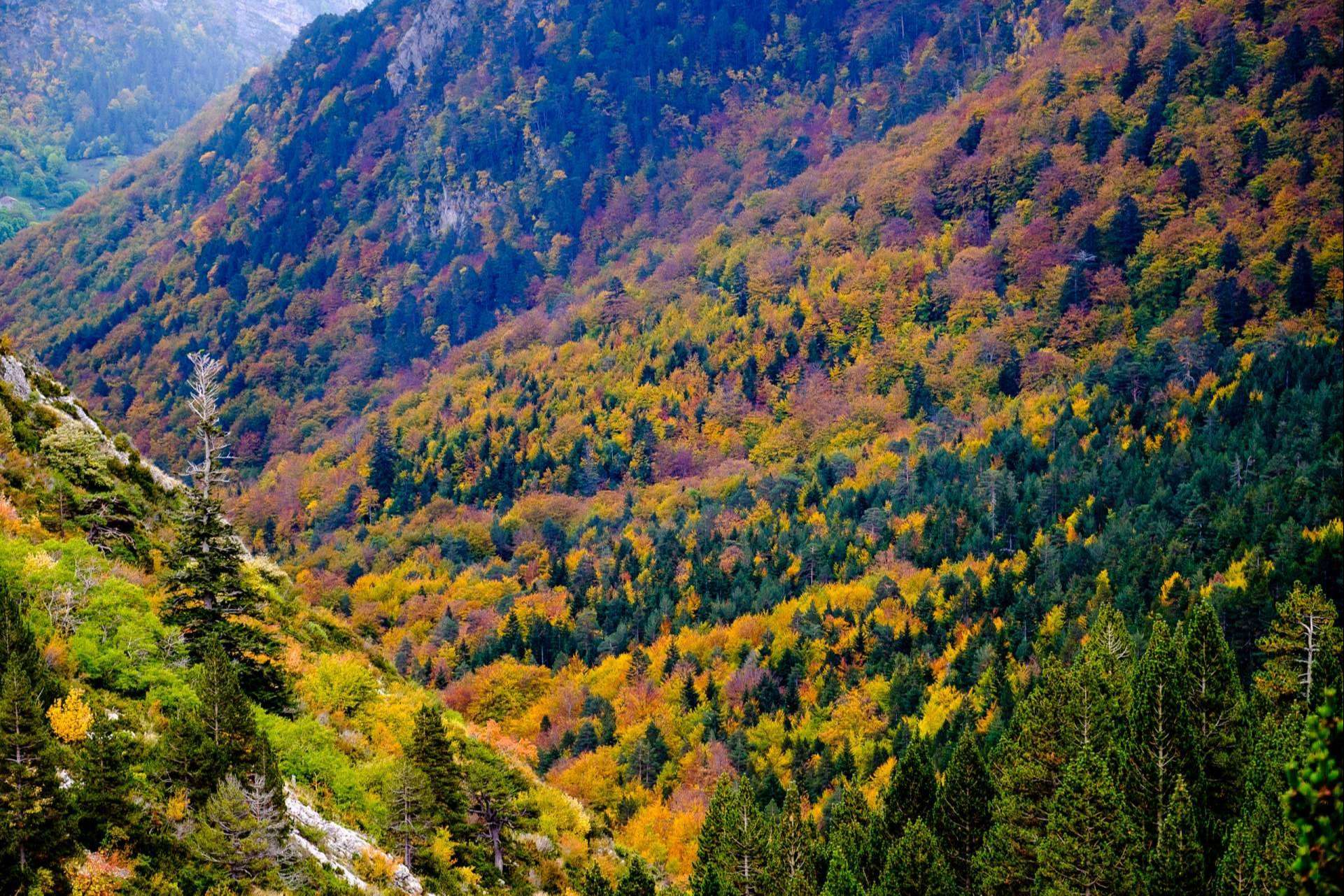 Camping Repòs del Pedraforca, un espacio ideal para pasar el otoño