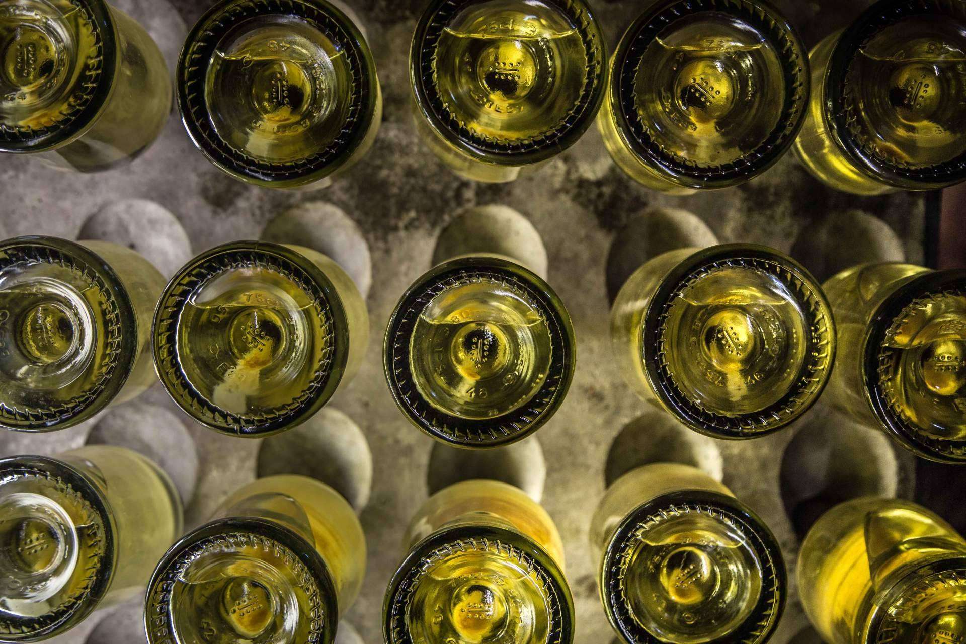 Cata de vinos de Natureloverswines para regalar enoturismo