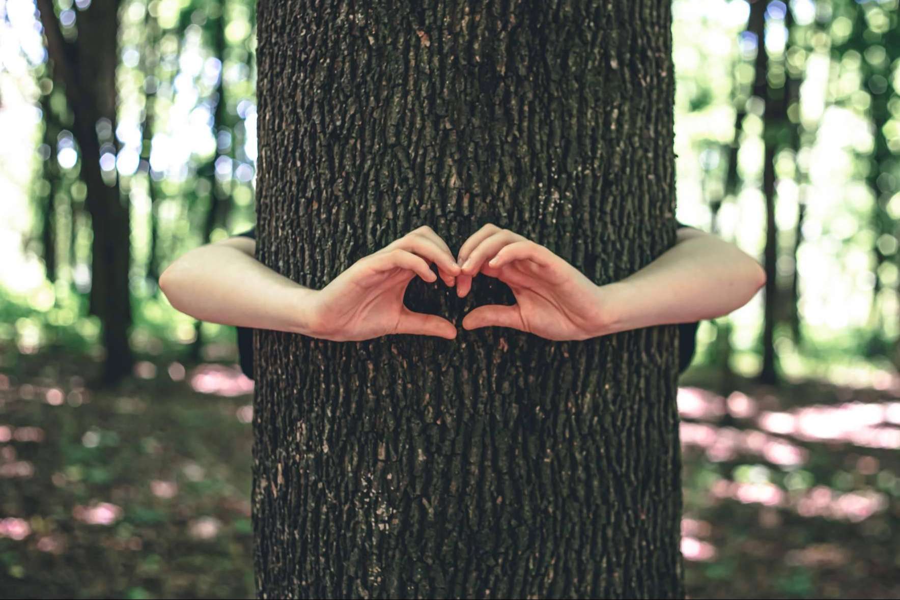 Marcas que Enamoran trabaja para alcanzar los Objetivos de Desarrollo Sostenible ODS con marketing emocional