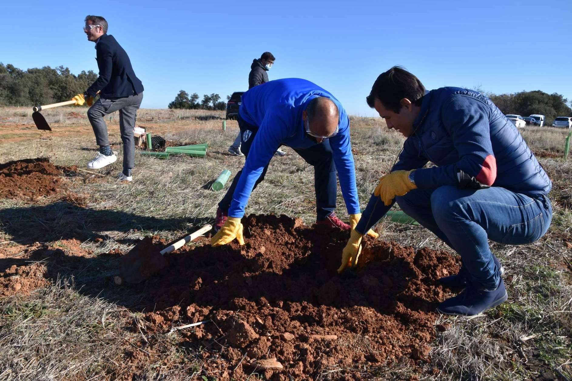 Las ventajas de los planes de RSC medioambientales, la plantación de árboles y apadrinamiento de bosques