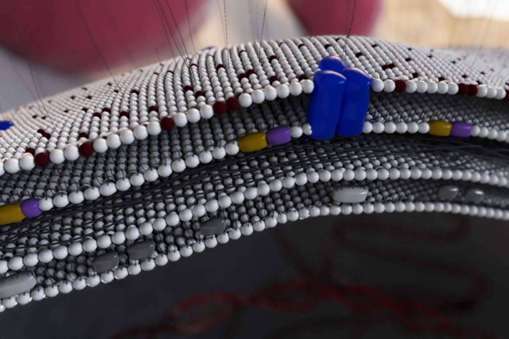 La innovadora propuesta que ofrece Pixeldreams para el sector médico y farma. Animación 3D para medicamentos y MOA's (Mecanismos de Acción)