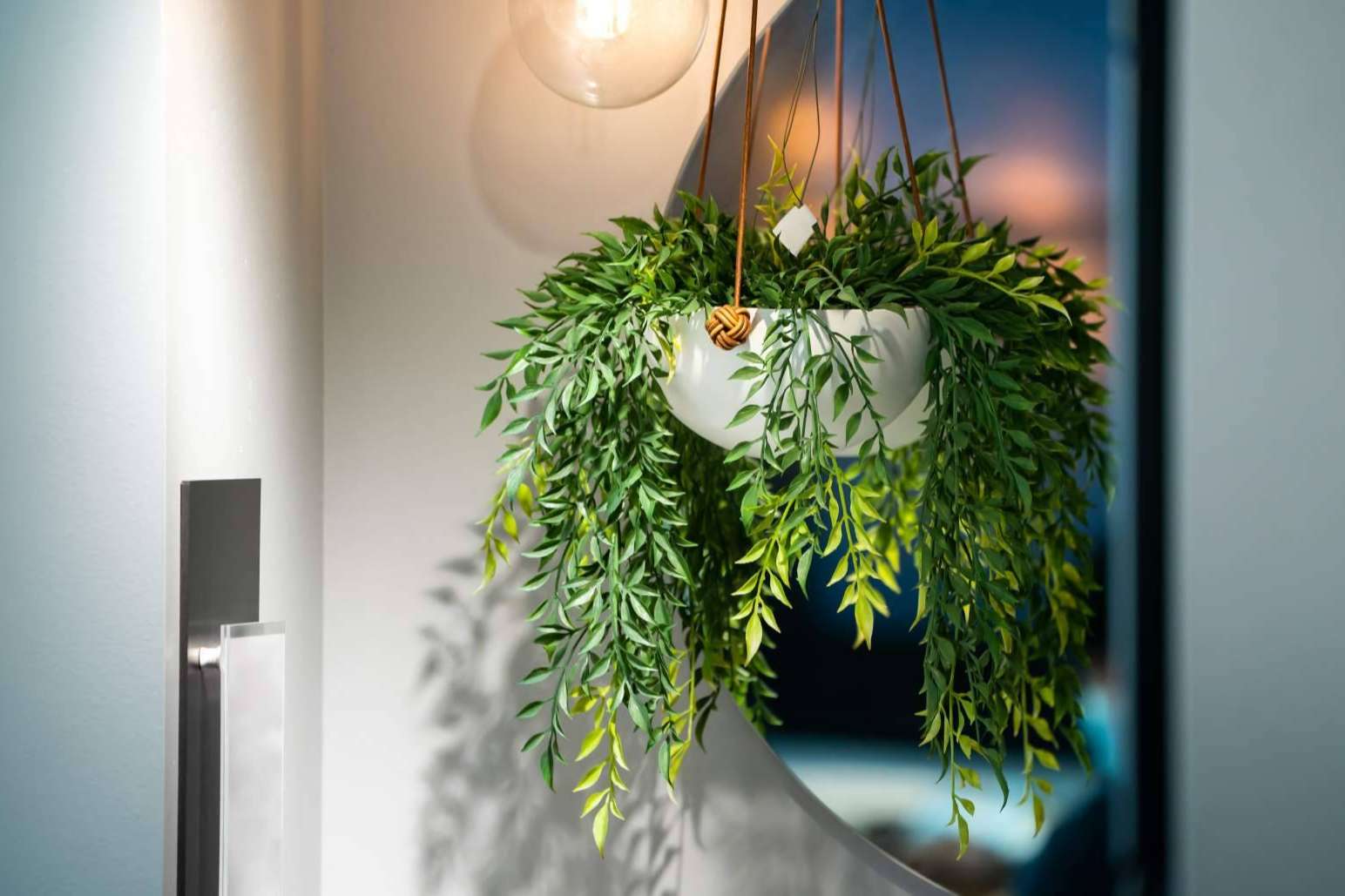 La combinación de plantas artificiales para dar un toque especial a cualquier espacio