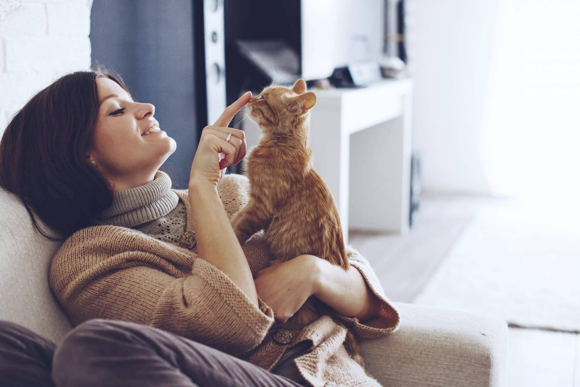 Entender el comportamiento de los gatos para convivir mejor con ellos