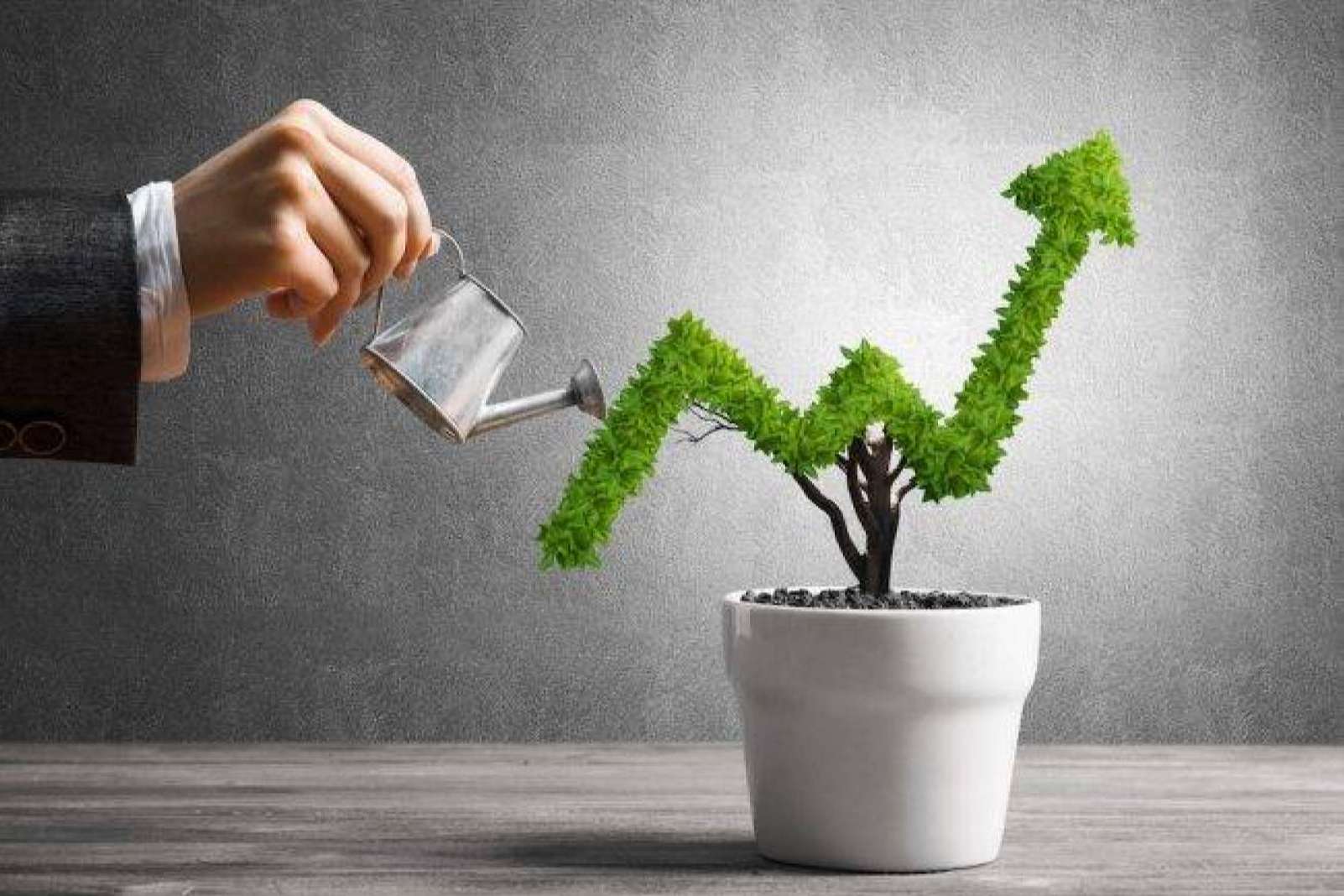 Inversiones en excelentes oportunidades, con Wolves Legacy