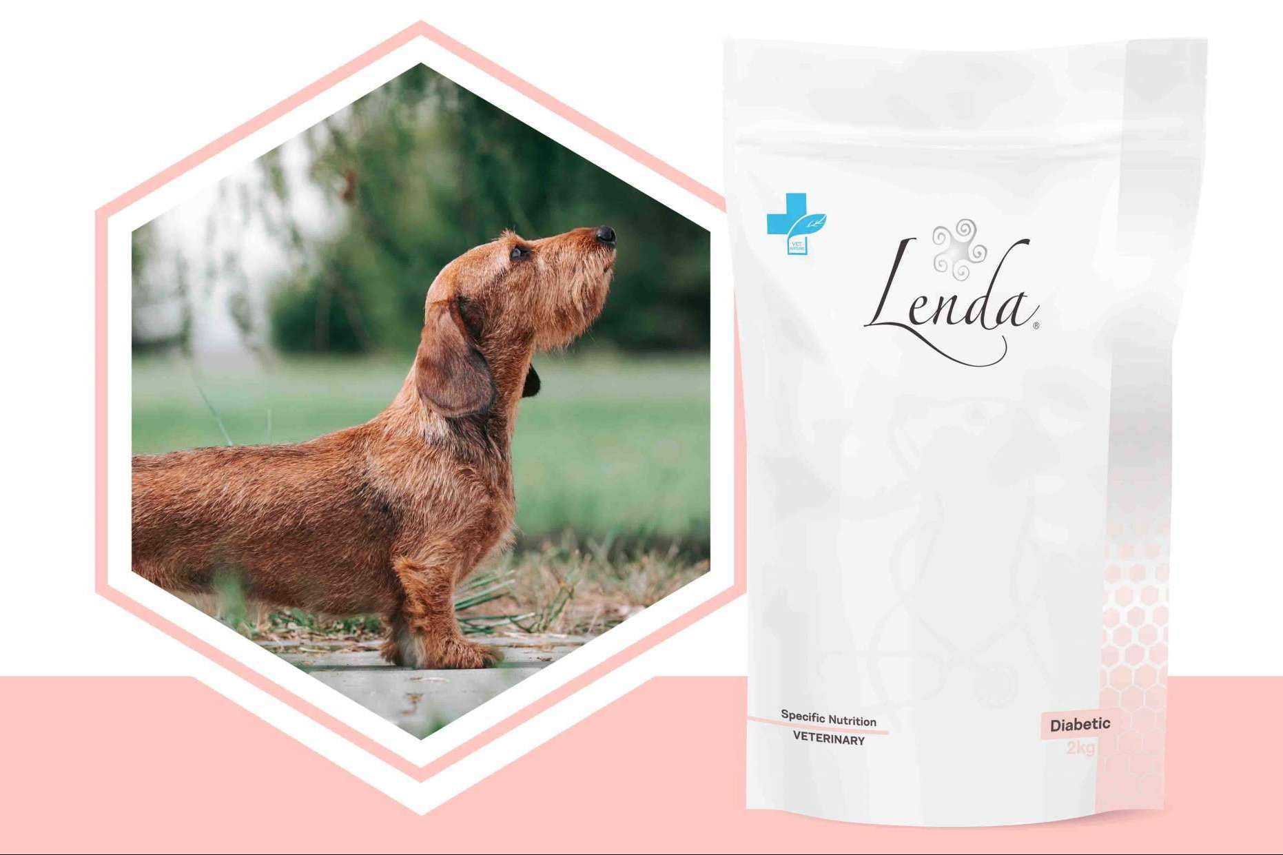 Las propiedades del pienso para perros diabéticos de Lenda VET Nature