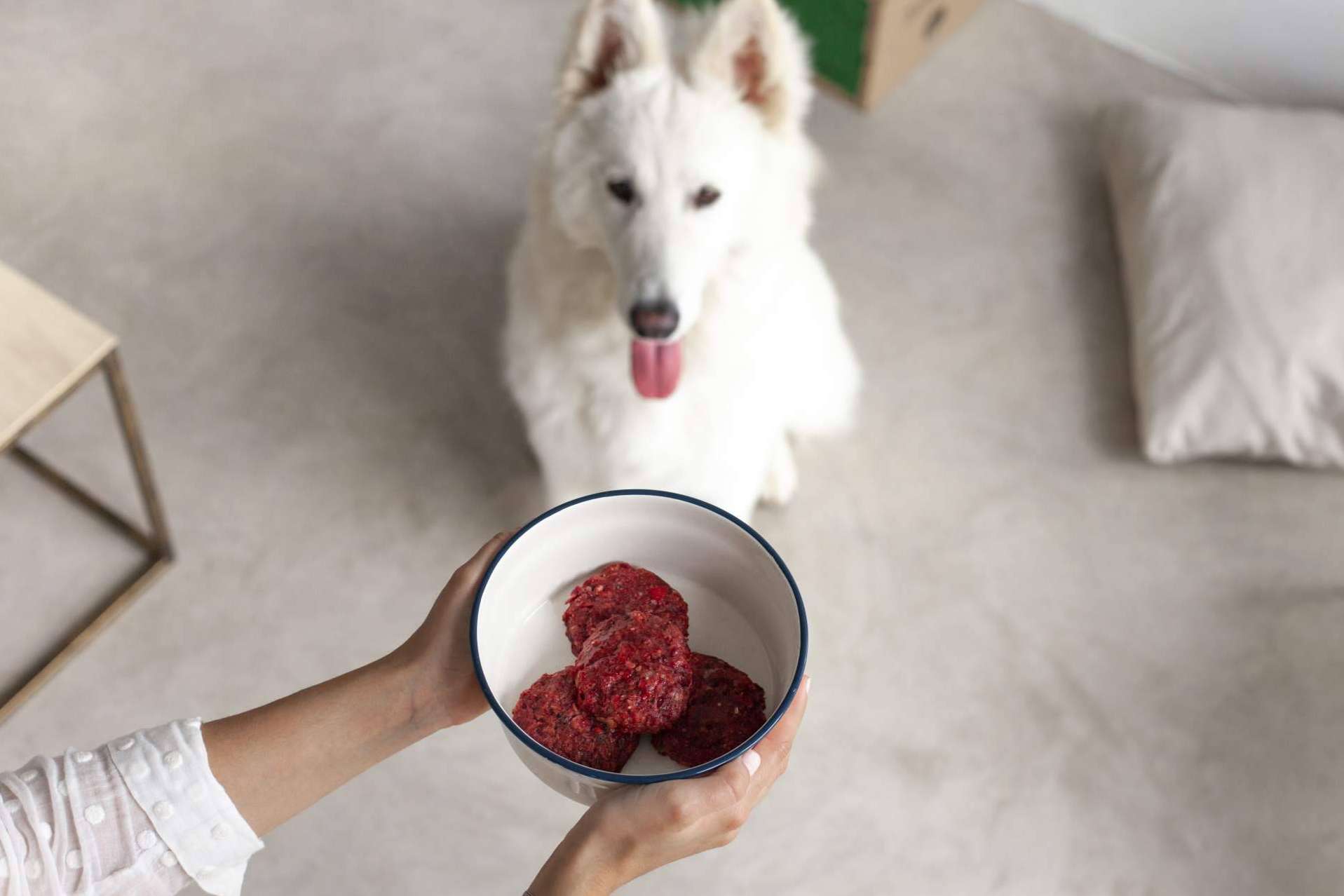 Wild Balance, la startup española que acaba de aterrizar en Dubái con su apuesta por la alimentación natural para mascotas