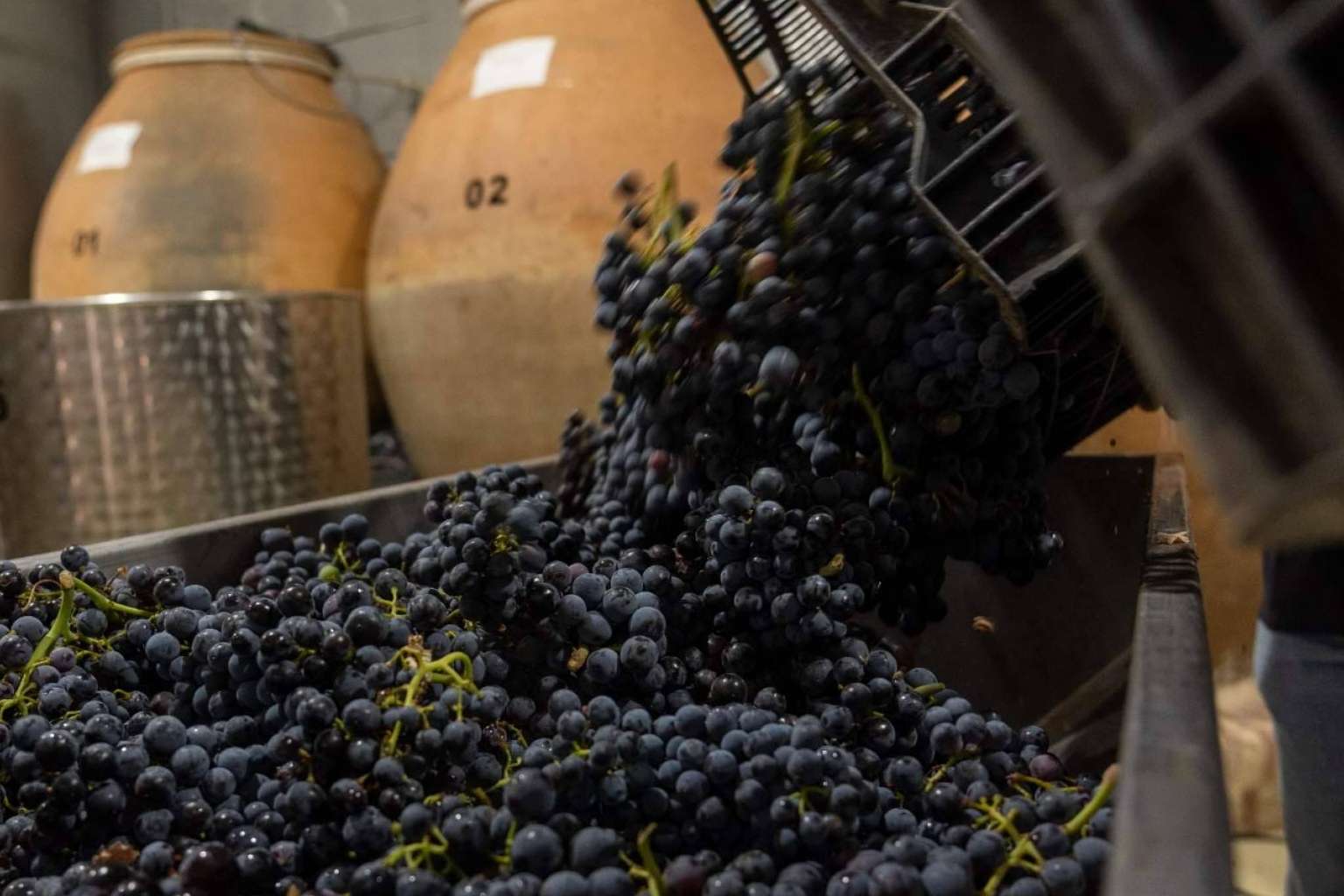 Vinos elaborados en tinajas de barro de más de 100 años, con Bodegas Fernández de la Ossa