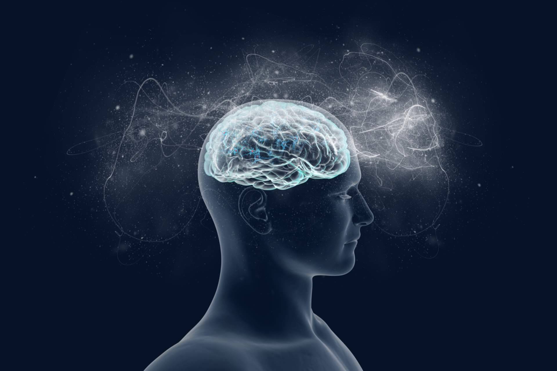 INIMA Rehabilitación está enseñando la importancia de la estimulación cognitiva