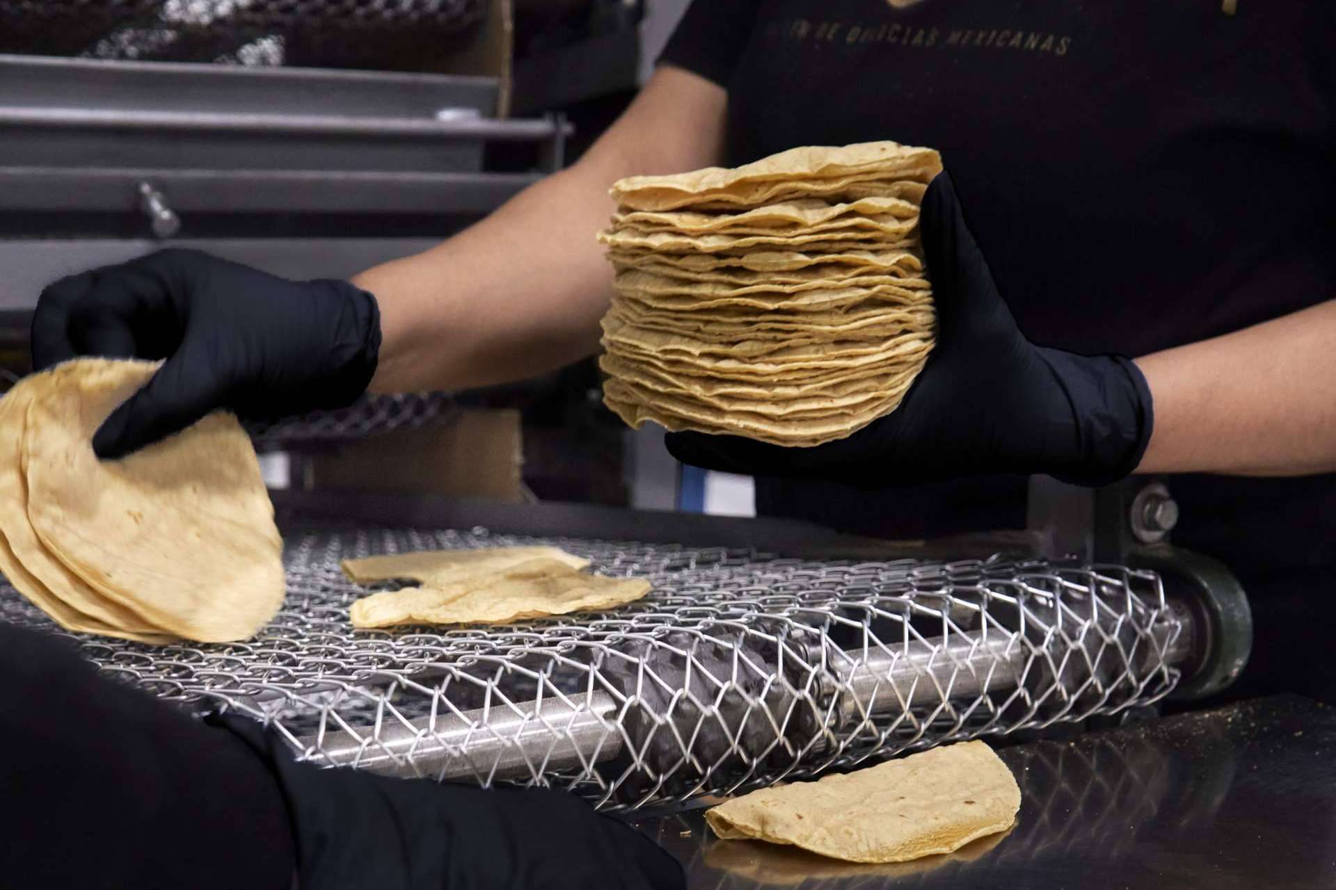 Maíz Maya es un taller de productos mexicanos que fabrica tortillas de maíz