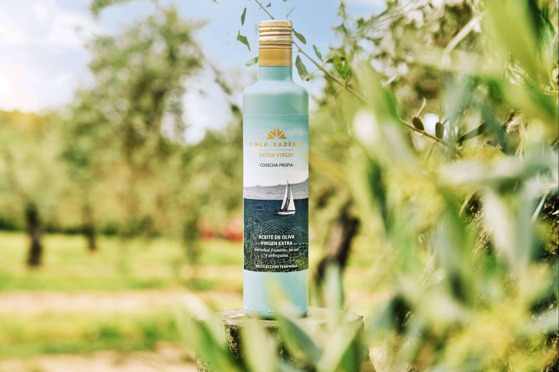 Comienza la nueva temporada de los aceites de oliva, con los AOVE tempranos de Aires de Jaén