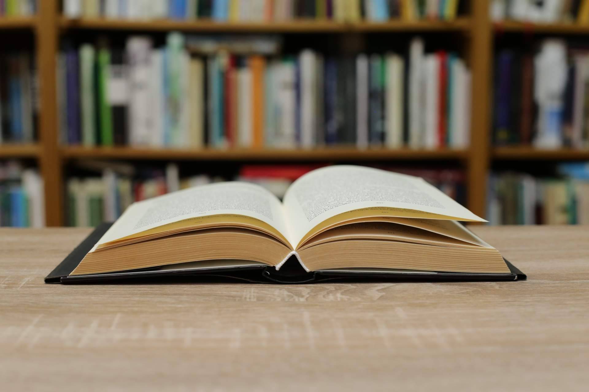 El éxito que han tenido los nuevos lanzamientos de Editorial Pluma publicados en 2022
