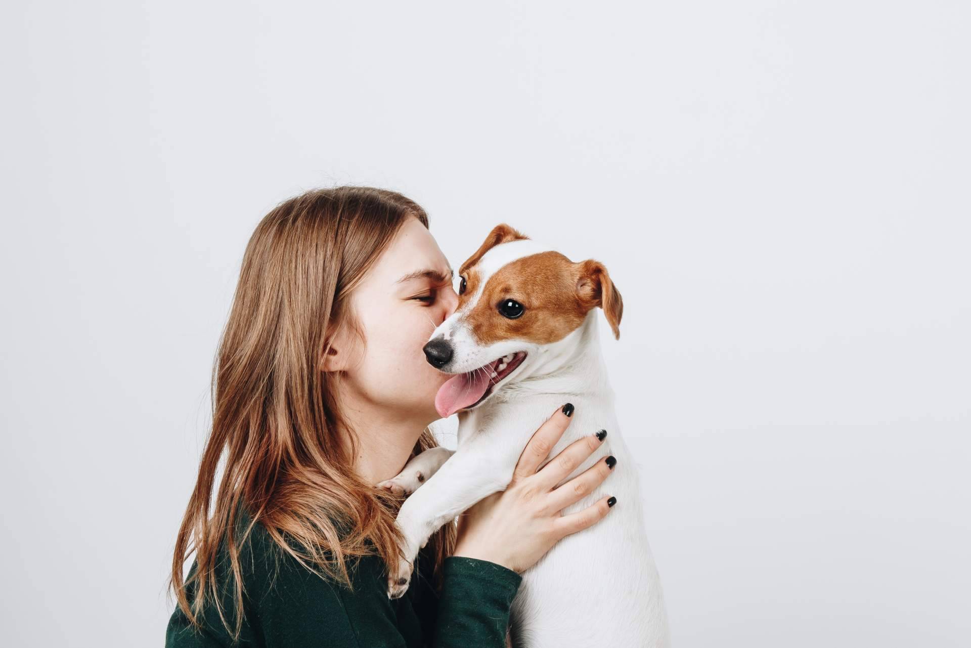 Mediación animal en los procesos de familia con Aboganimal