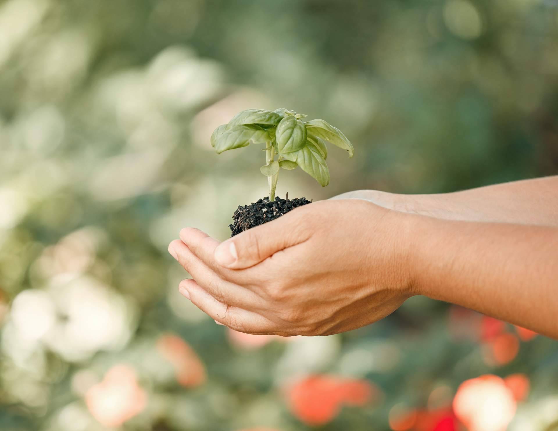 Huella de carbono 0 % para 2030, el objetivo de PENETRON, por ClauniCanarias
