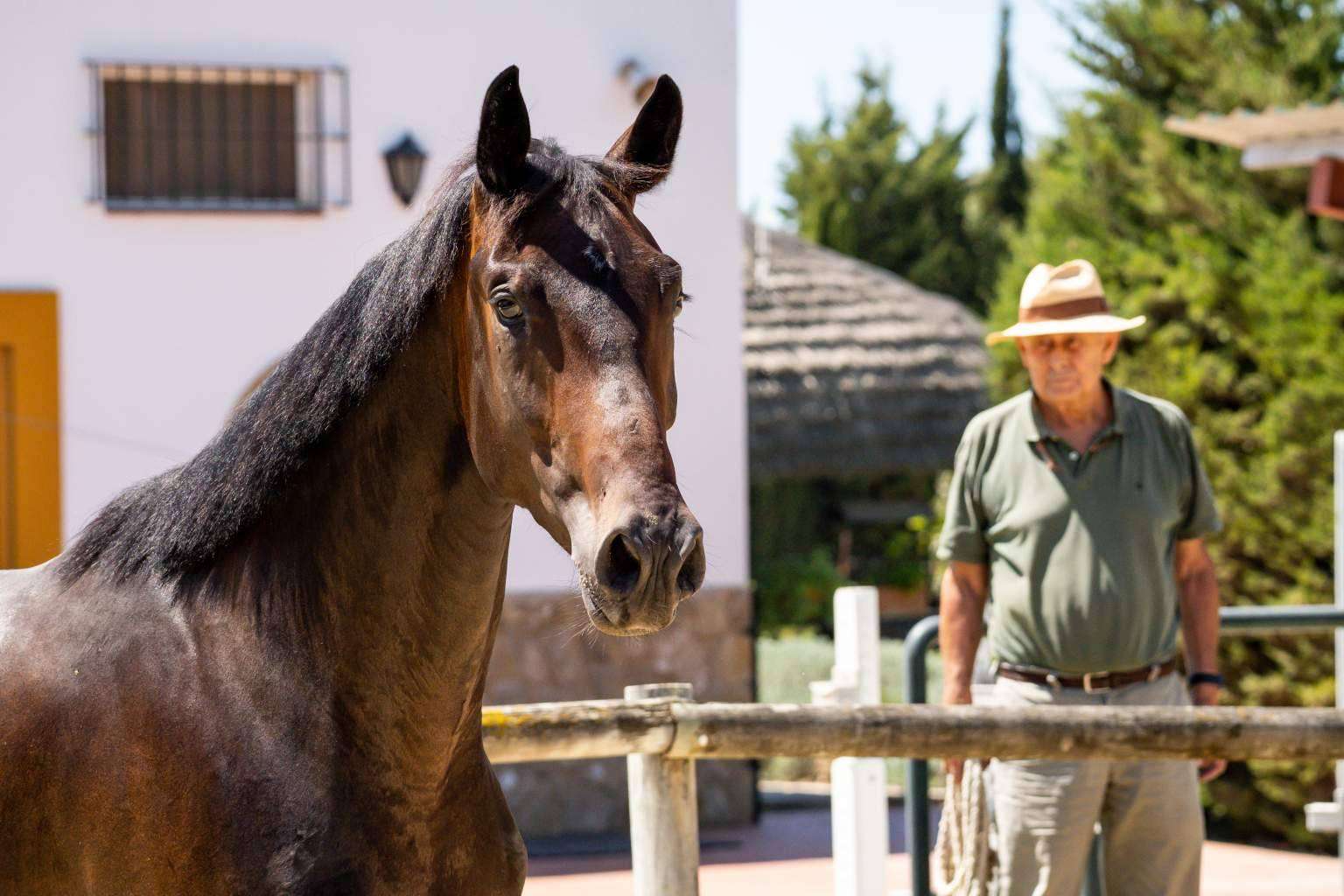 El centro donde cuidar de la salud tanto de jinetes como de caballos, Yeguada Encinasola