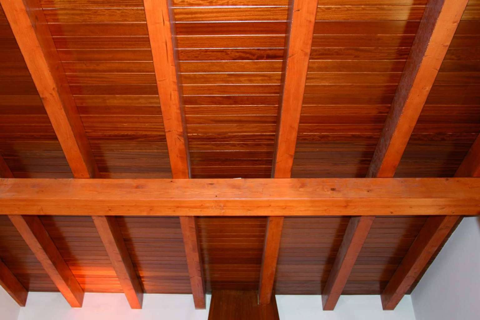 Caliplac y sus paneles sándwich para cubierta con acabado de madera