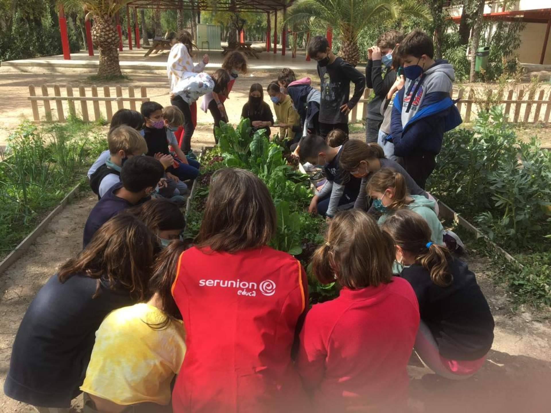 Serunion Educa y su objetivo de promover la salud, la convivencia y la sostenibilidad en los centros escolares