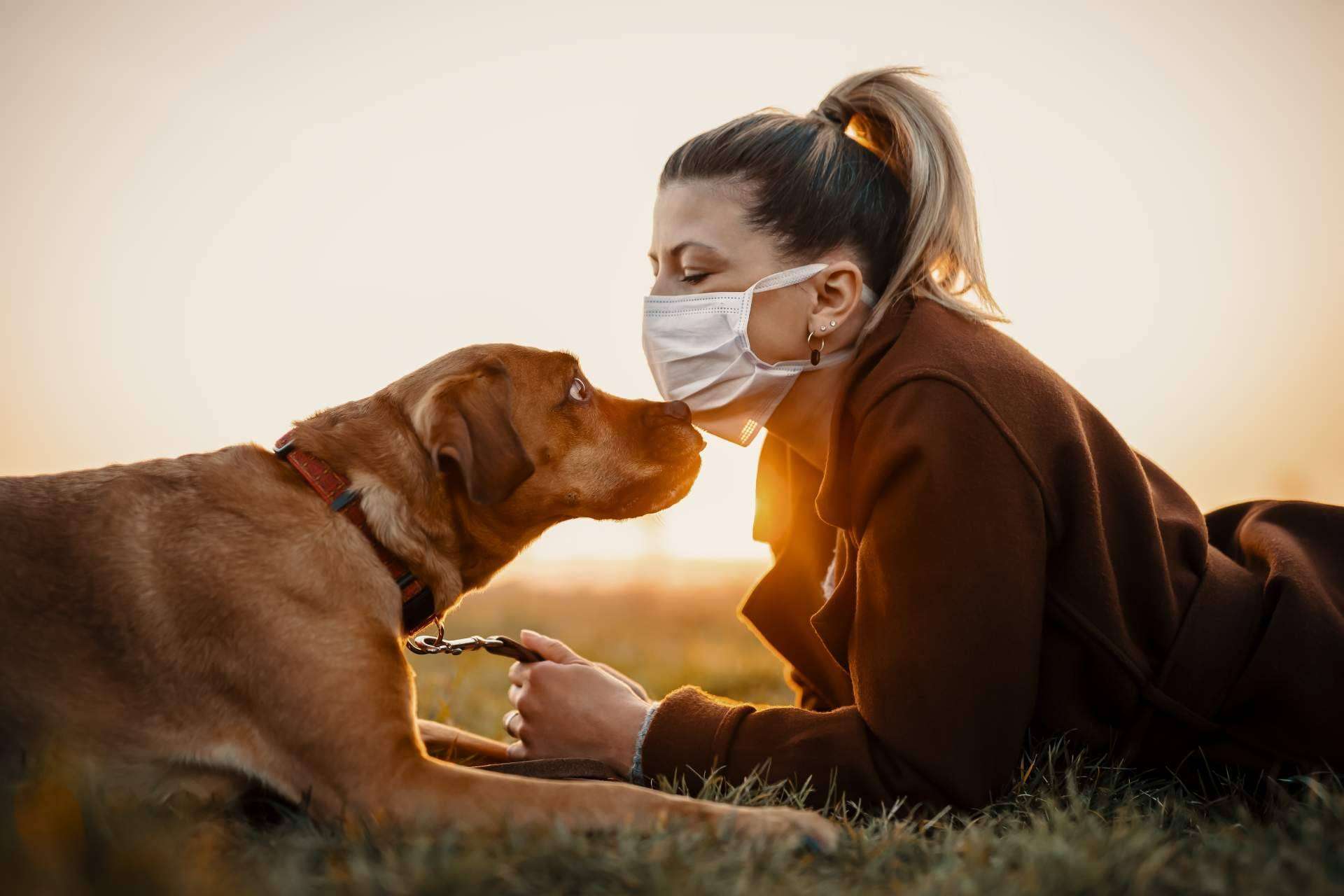 Cómo convertirse en un referente de la protección animal, por Aboganimal