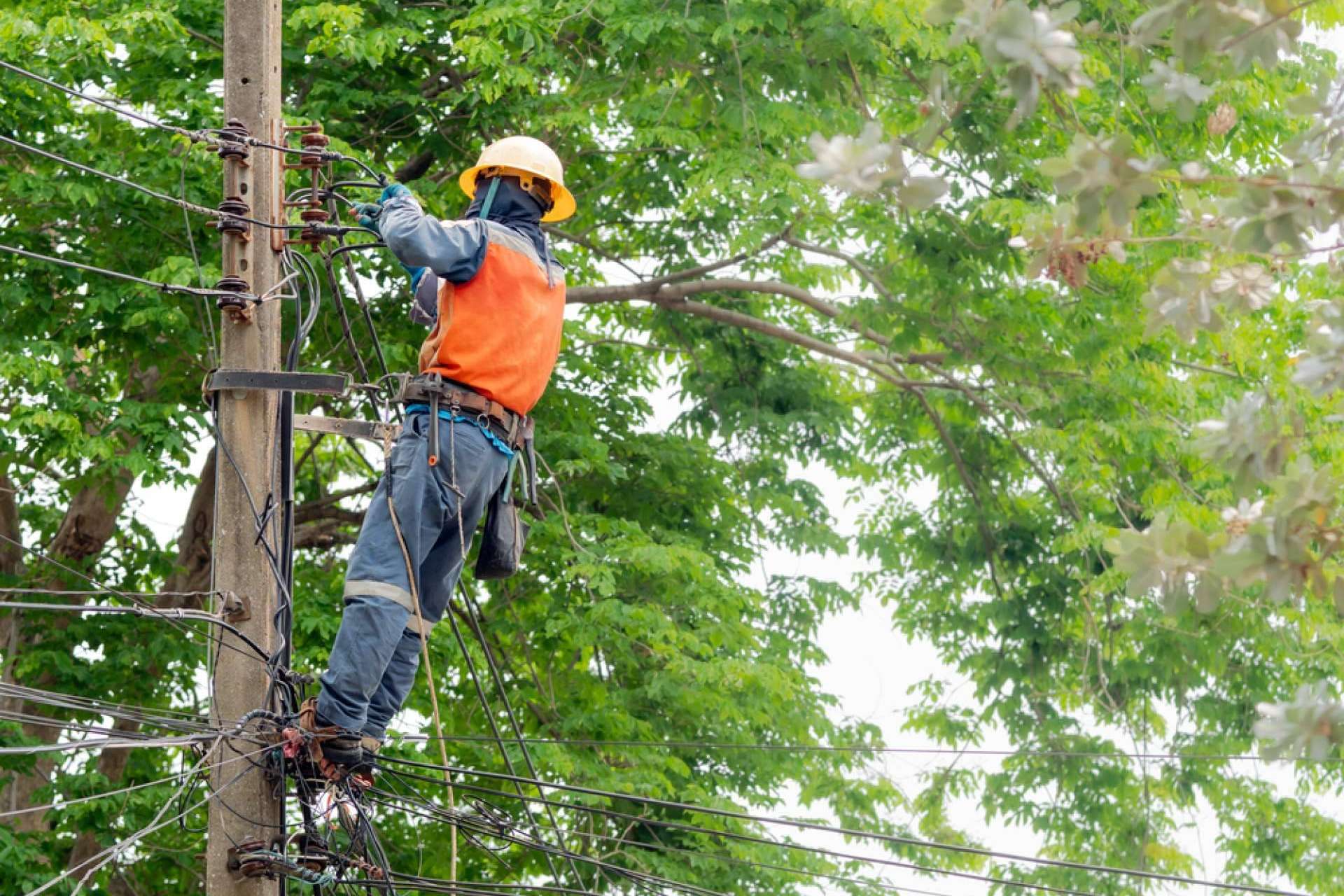 Podarama y la importancia de tener el jardín en orden