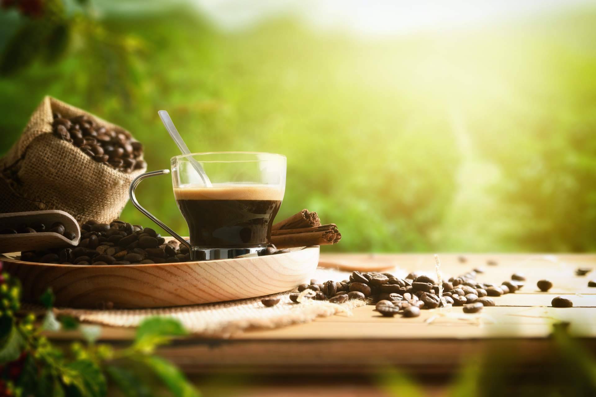 Las variedades de café de origen que se pueden obtener en Café Ciano