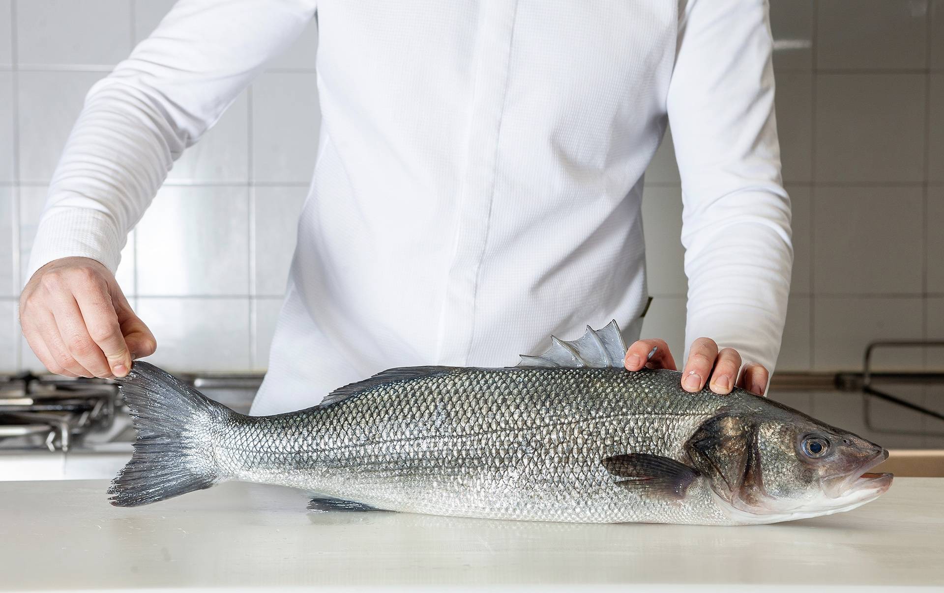 Madrid fusión alimentos de España 2023 contará con Aquanaria