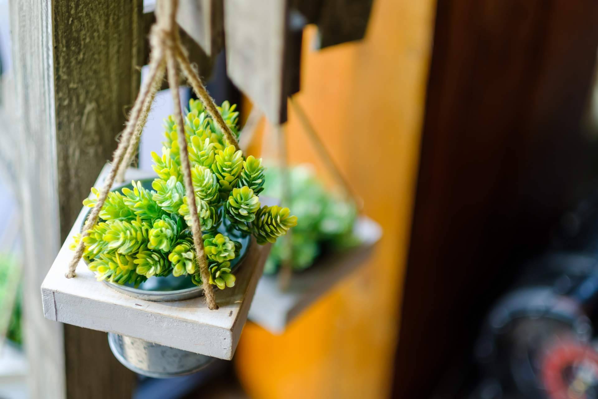 7 Plantas artificiales colgantes para dar un toque natural y decorar el hogar sin ocupar espacio