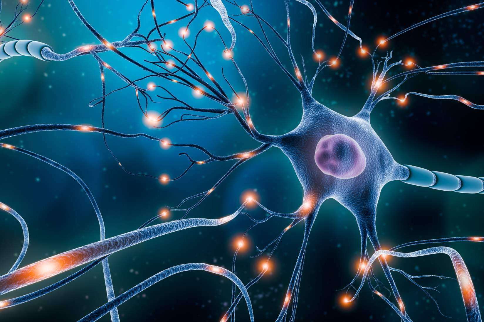 La neurociencia es una 'revolución necesaria para formar profesionales que puedan ser válidos en la sociedad', por el Director General de Aicad