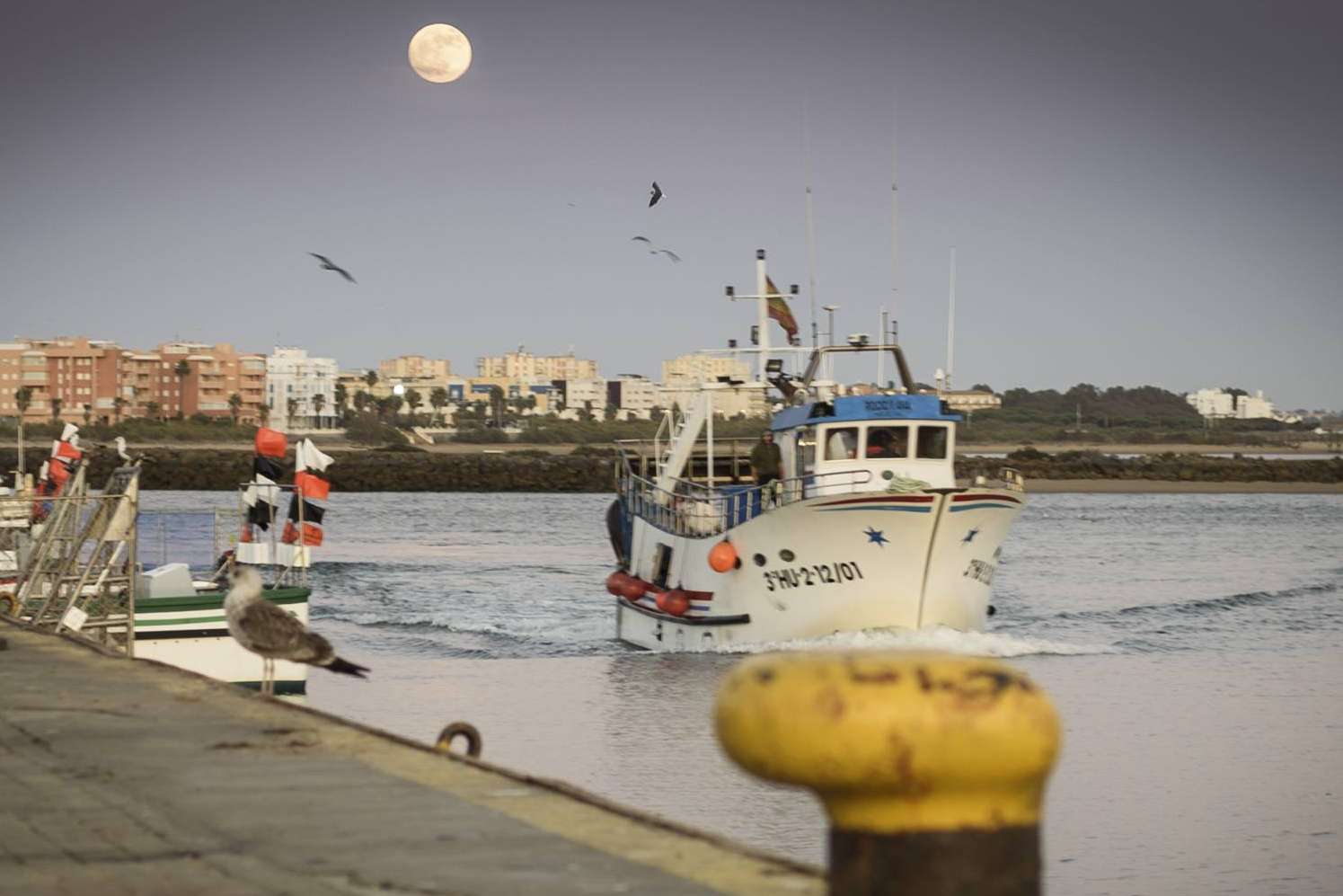 Lonja de Ayamonte sobre las novedades de su pescado de lonja