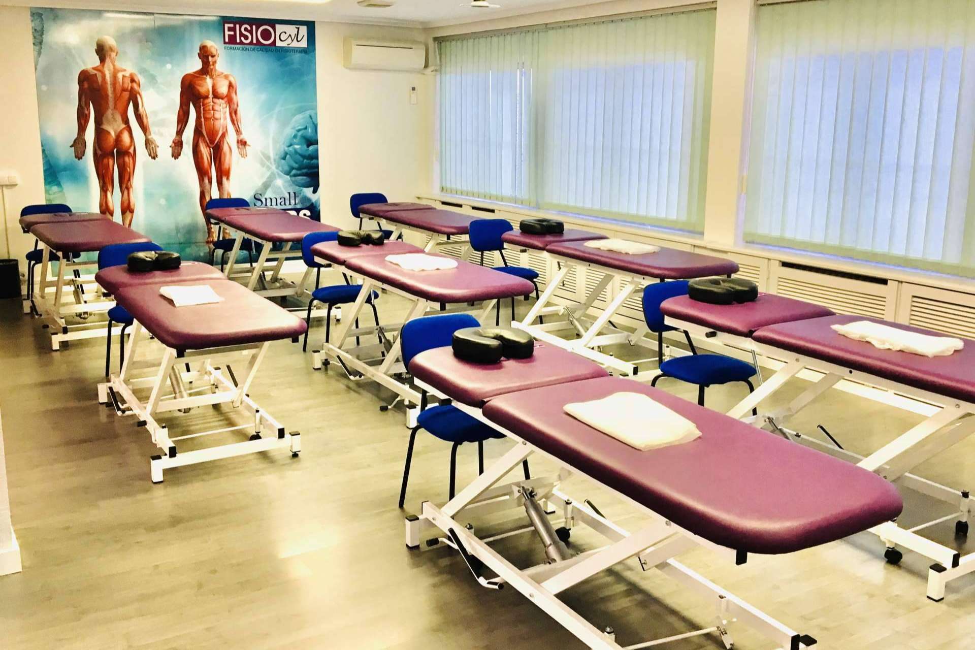 Fisiocyl, impulsando la profesión de los fisioterapeutas