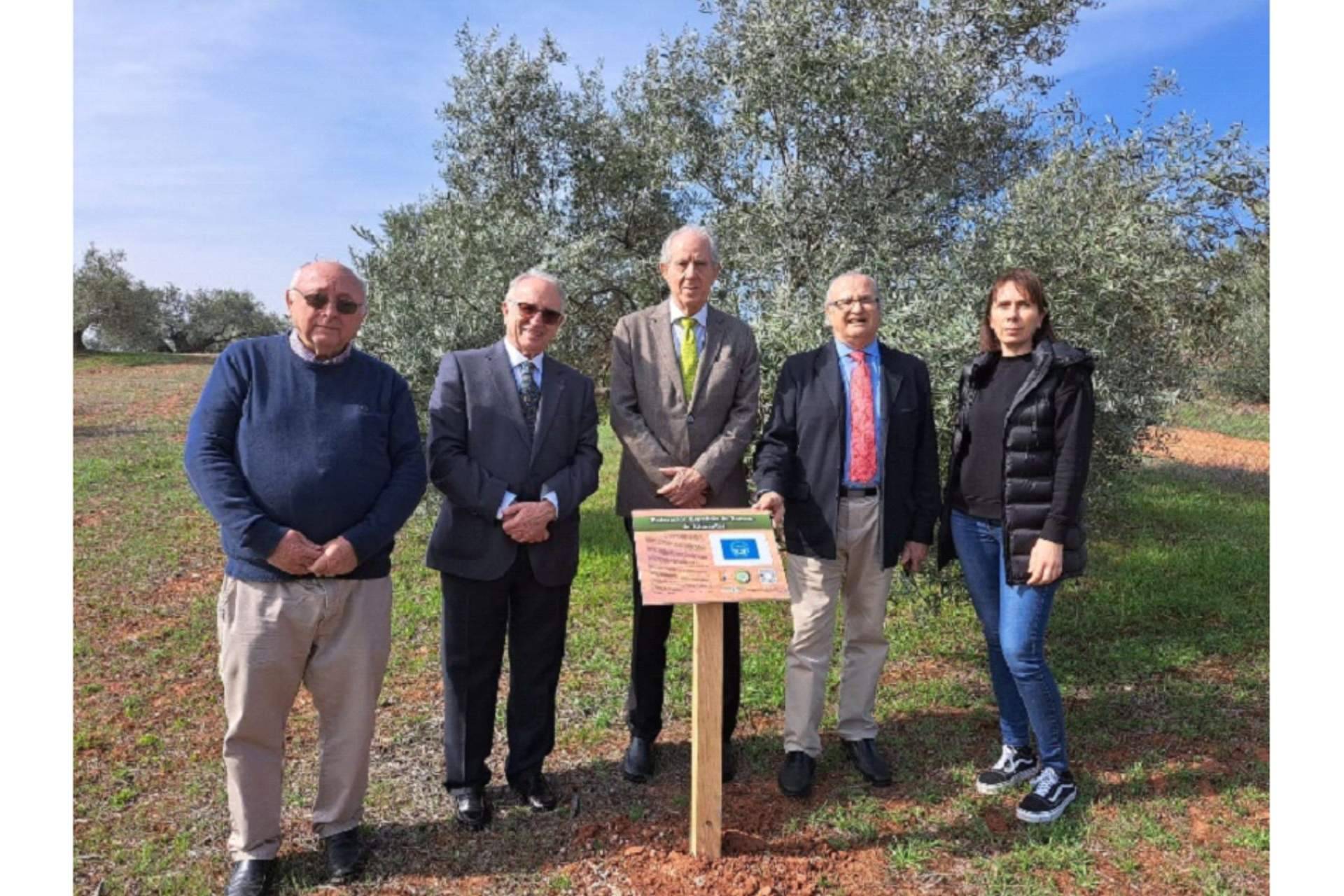 La extraordinaria labor social y solidaria de la Federación Española de Bancos de Alimentos, premiada