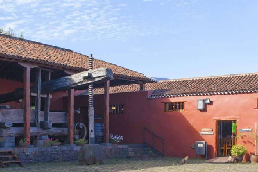 Todo lo que ofrece Gloma Travel, la agencia de viajes que organiza el tour de La Ruta del Guachinche en Tenerife