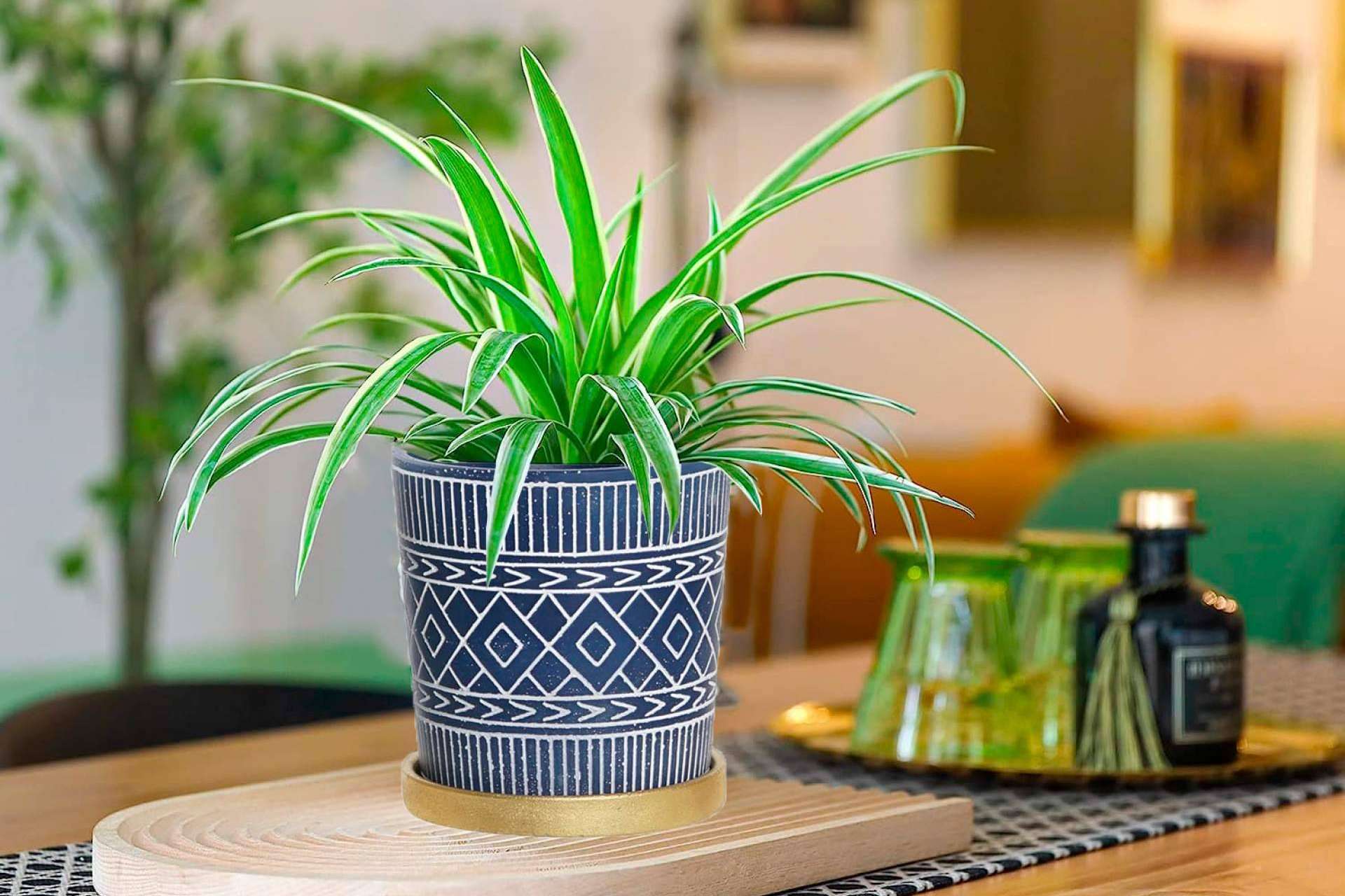 Las ofertas de Hogar y Más incentivan a las personas a invertir en decoración primaveral