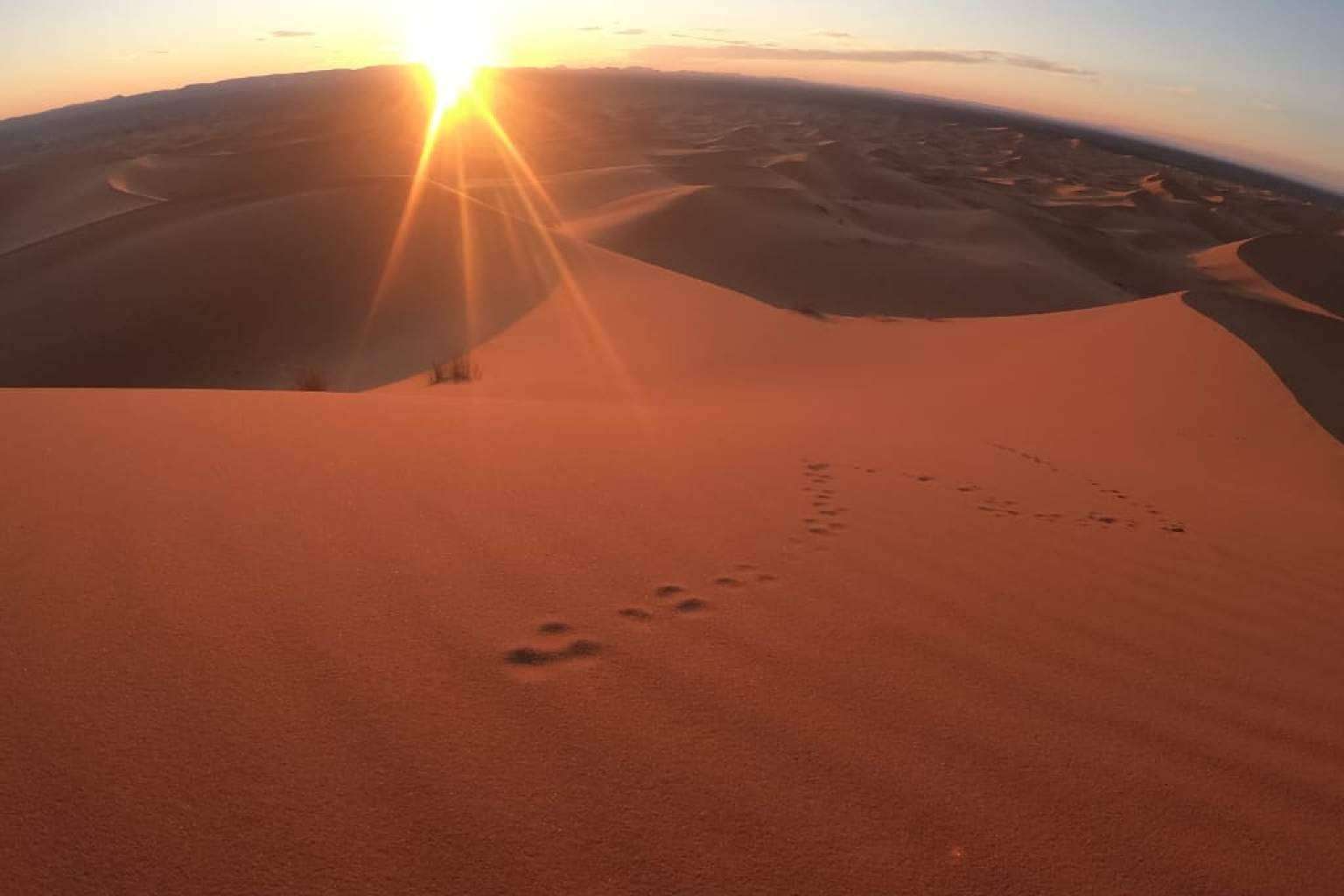 Camel Trekking Tours ofrece excursiones en camello a las dunas de Erg Chebbi