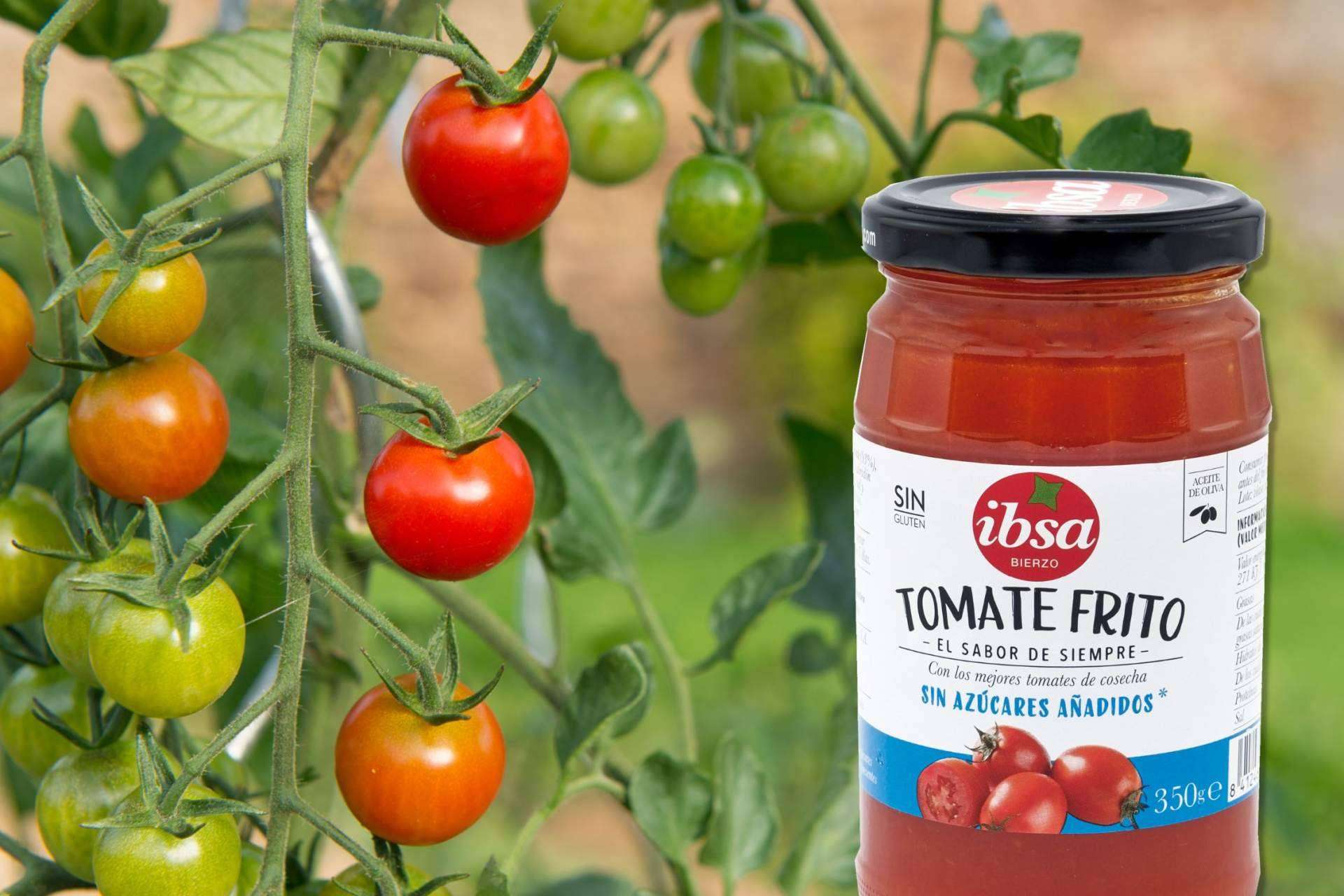 Las conservas vegetales claves para una alimentación saludable, con IBSA