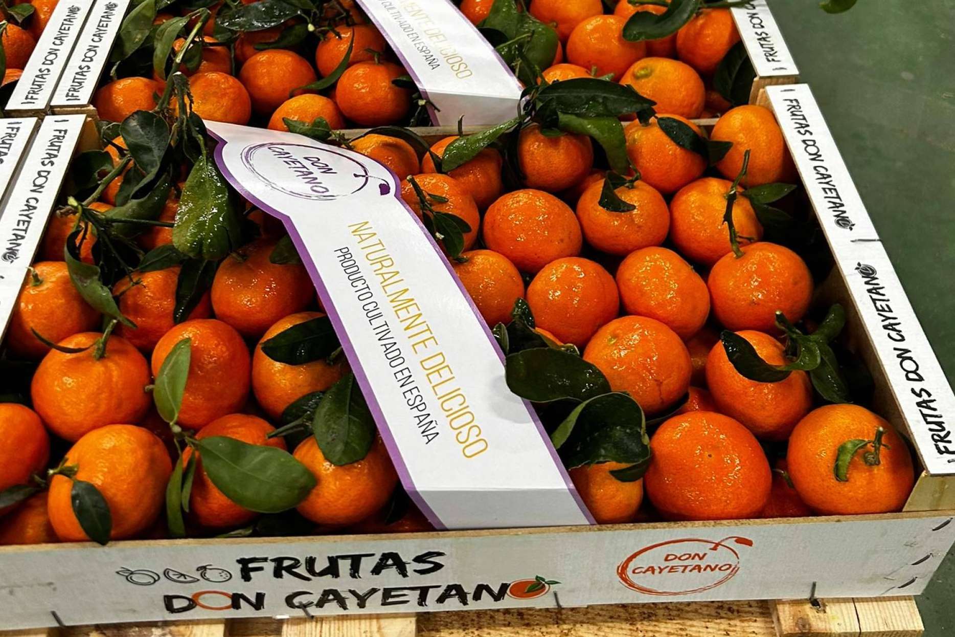 Se aproxima la campaña de fruta de hueso con Frutas Don Cayetano