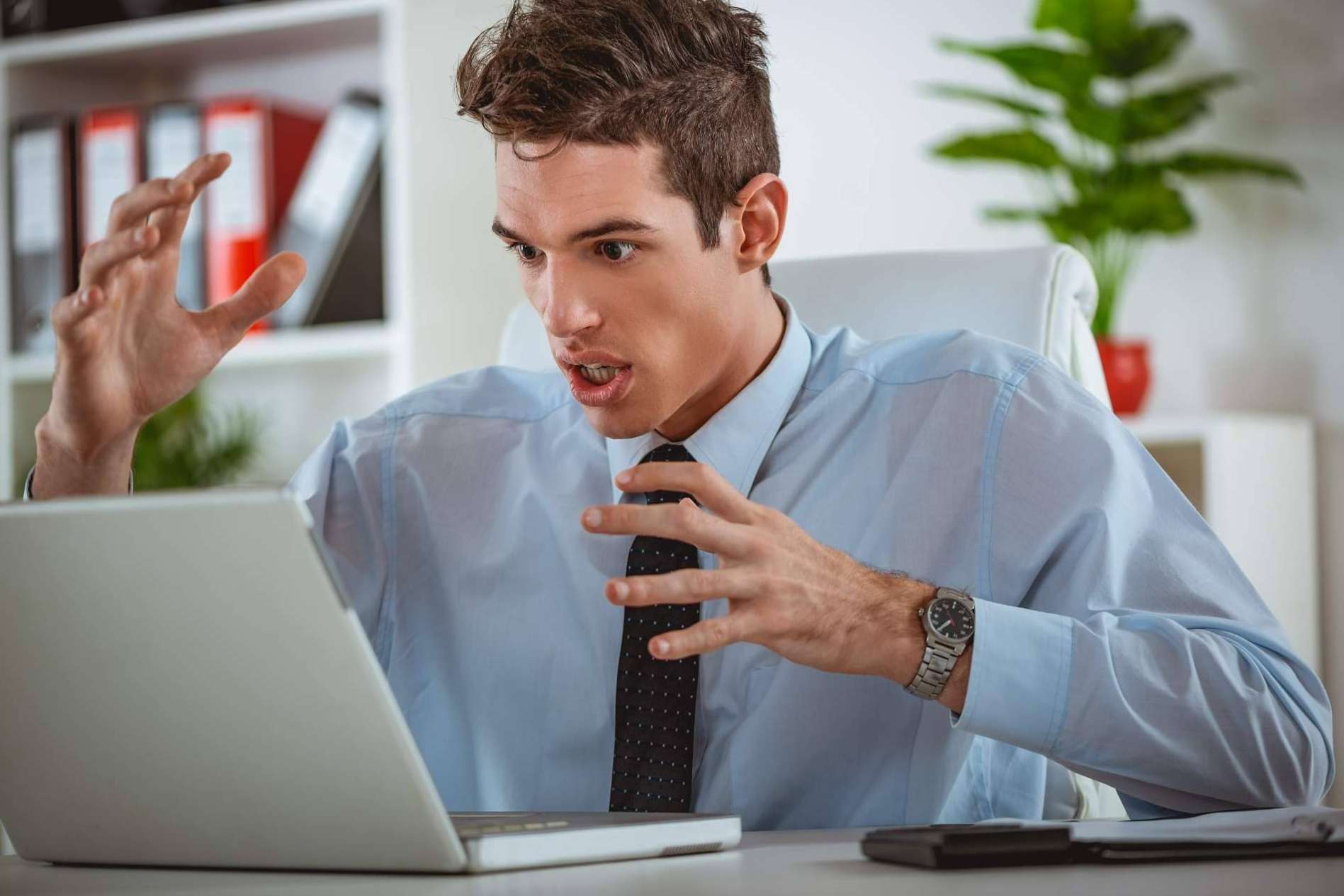 Los servicios de Honoralia, la empresa que logra desplazar el contenido negativo en internet