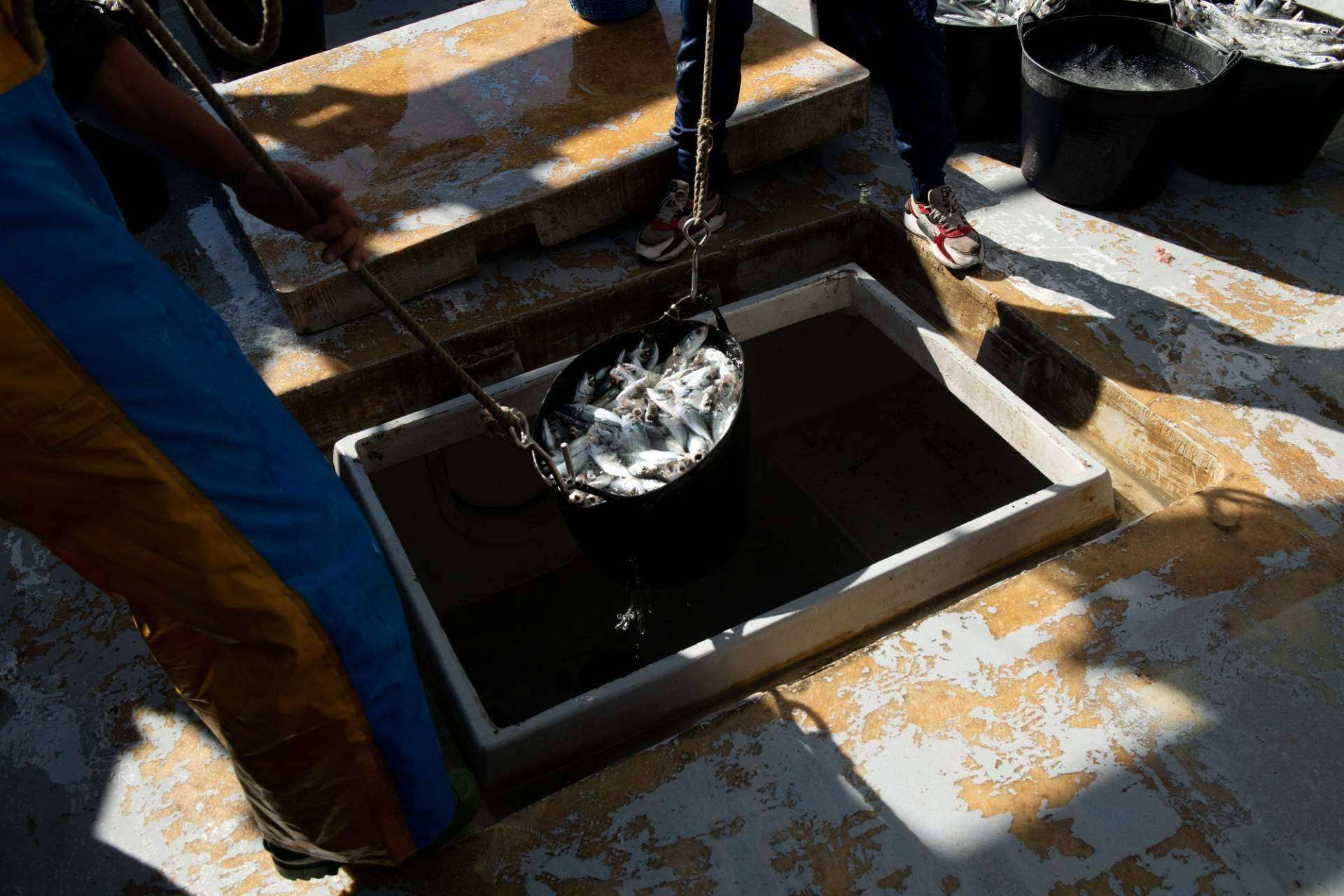 El proyecto Mesa para 10. Contar historias y poner en valor la ganadería, agricultura y pesca de la comarca la Axarquía, con el poder de la fotografía